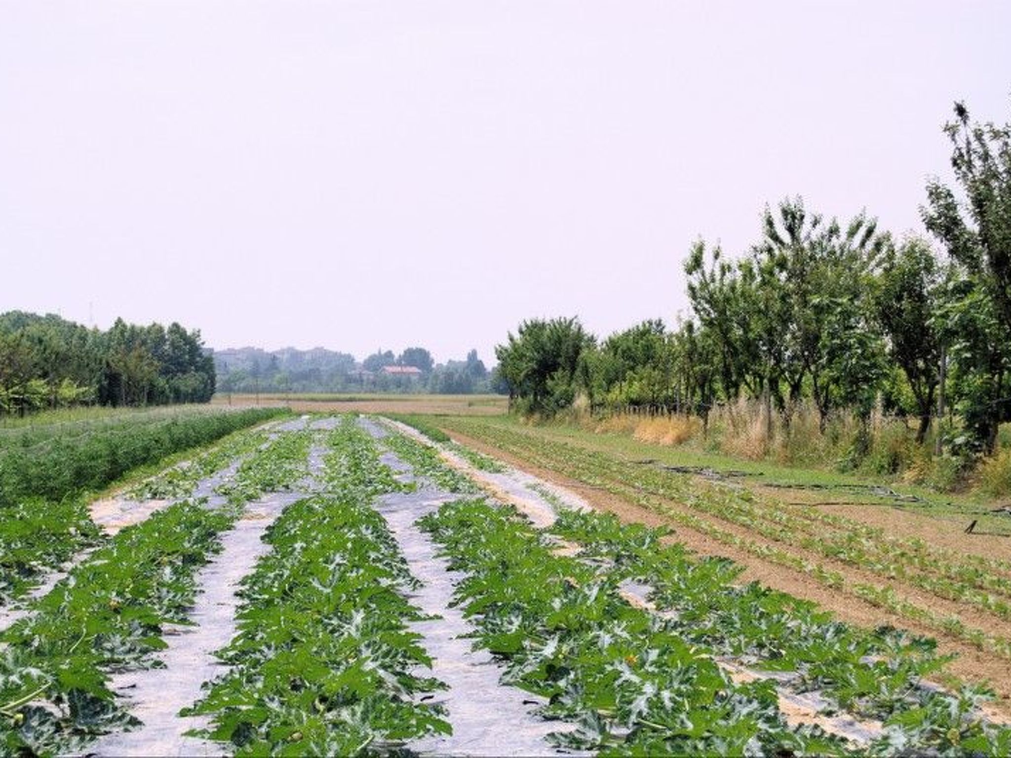 Schöne Wohnung in Venedig mit Garten und Grill-Binnen