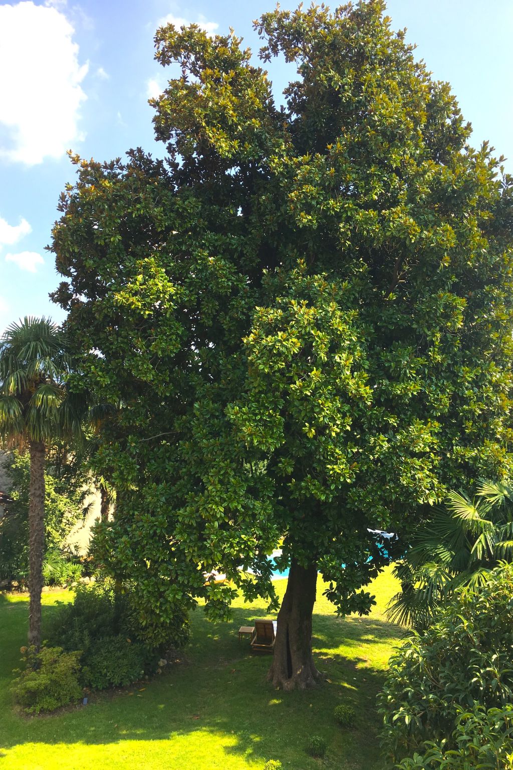 Für 15 Personen in Cittiglio-Image-tags.info