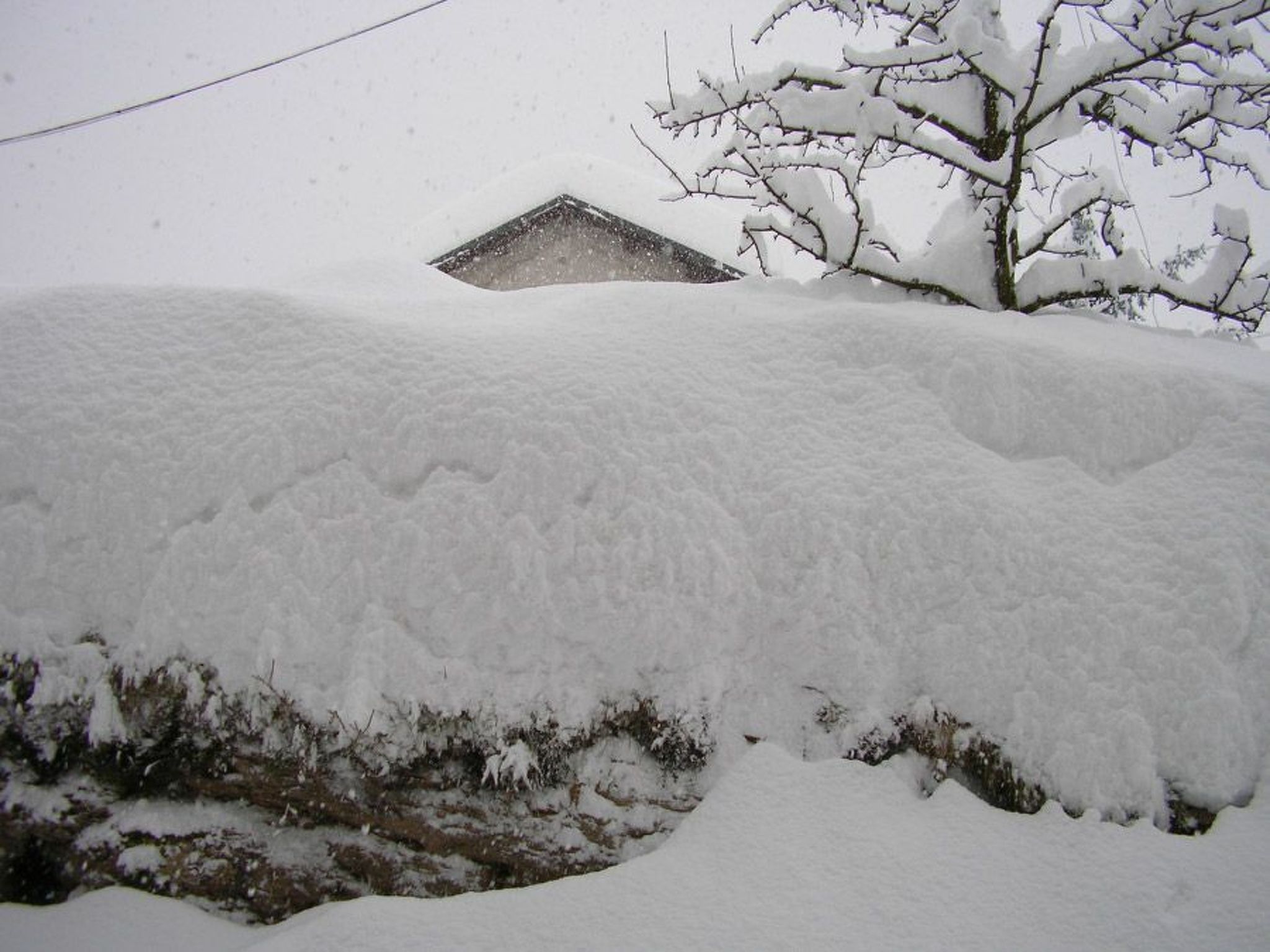 Duck's Cottage für einen Dolomitenurlaub-Buiten