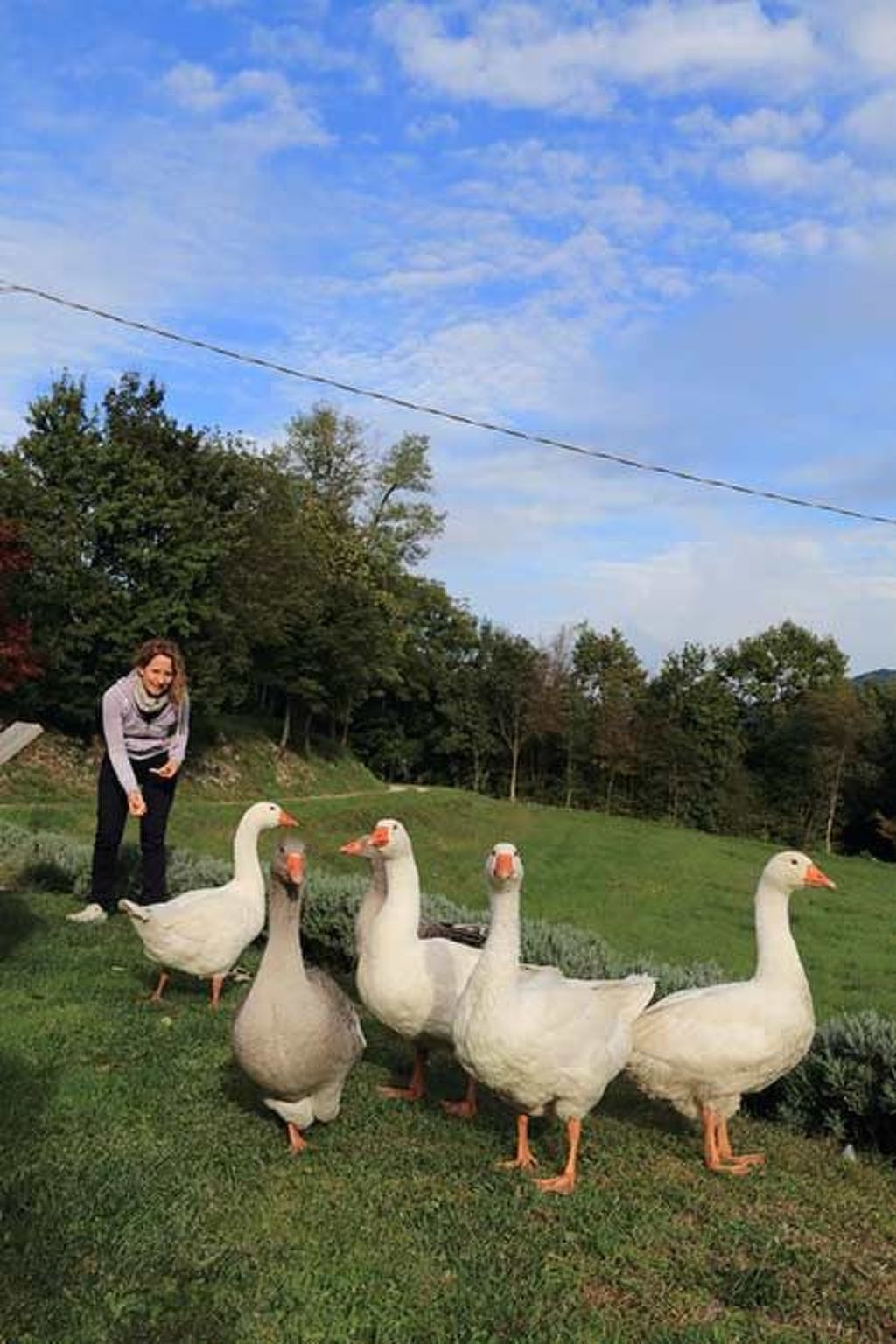 Duck's Cottage für einen Dolomitenurlaub-Image-tags.info