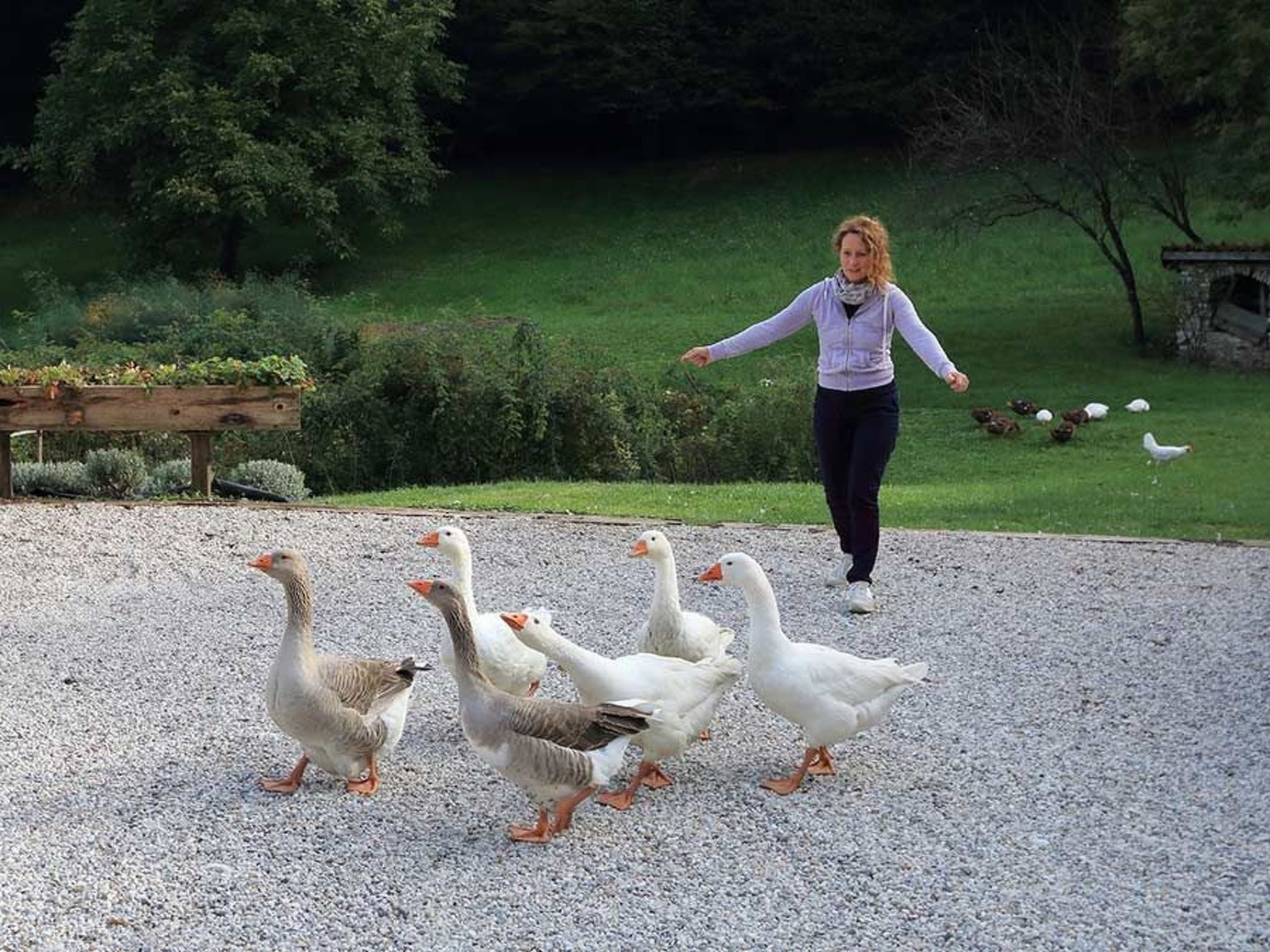 Duck's Cottage für einen Dolomitenurlaub-Image-tags.info