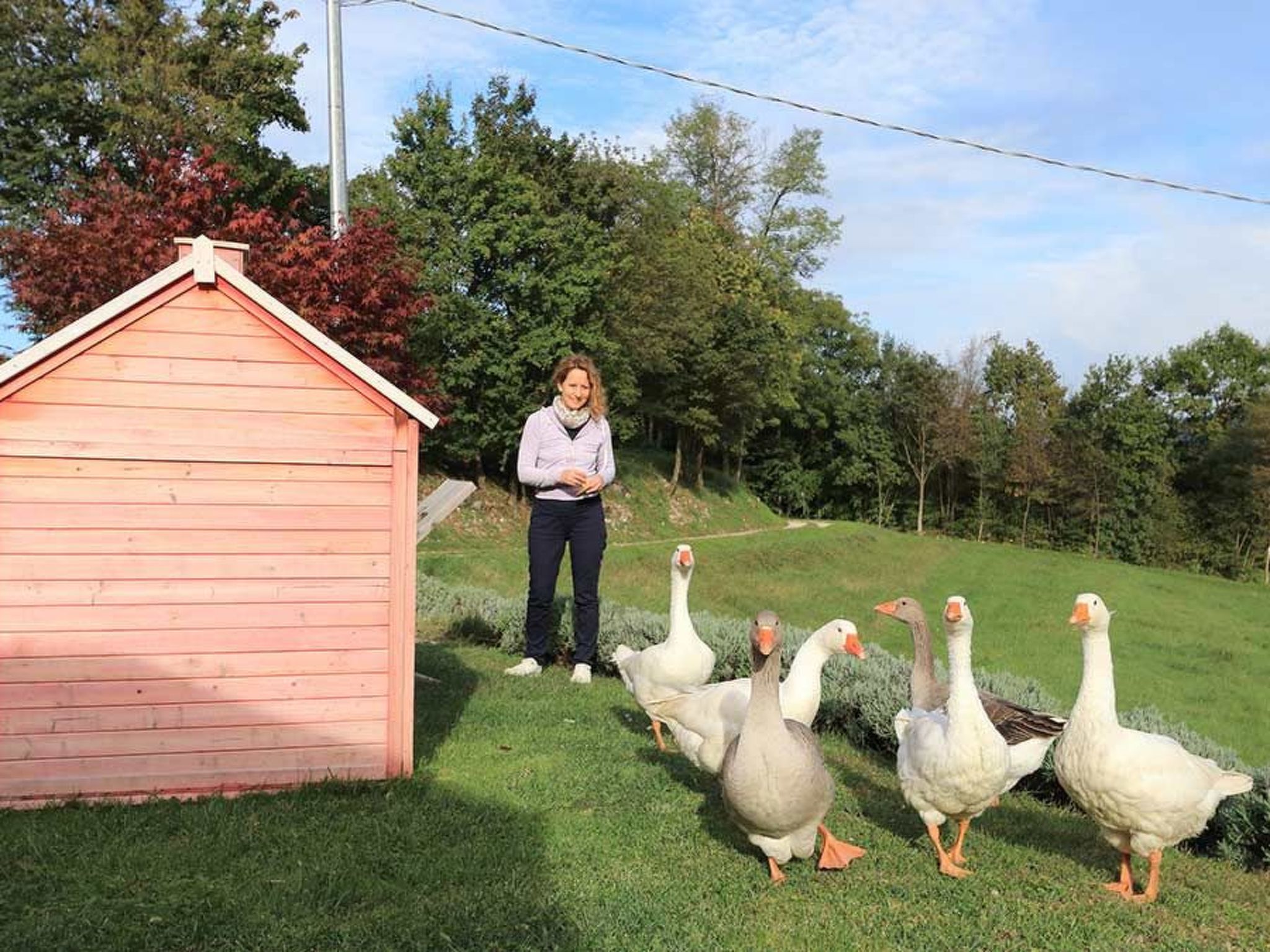 Duck's Cottage für einen Dolomitenurlaub-Image-tags.info