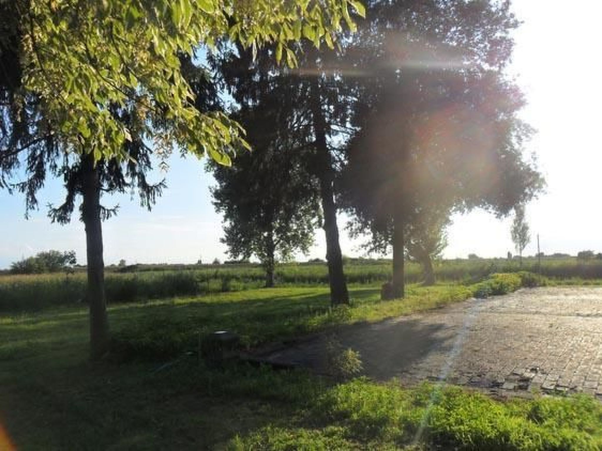 In Rosolina mit Grill und Garten-Buiten