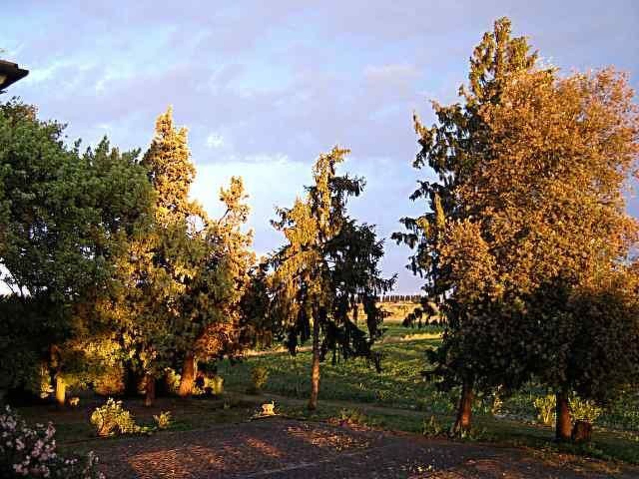 Appartement in Rosolina mit Garten und Grill-Buiten