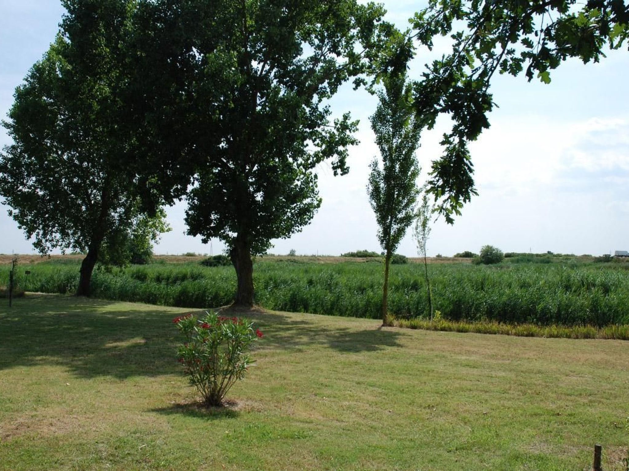 Appartement in Rosolina mit Garten und Grill-Buiten