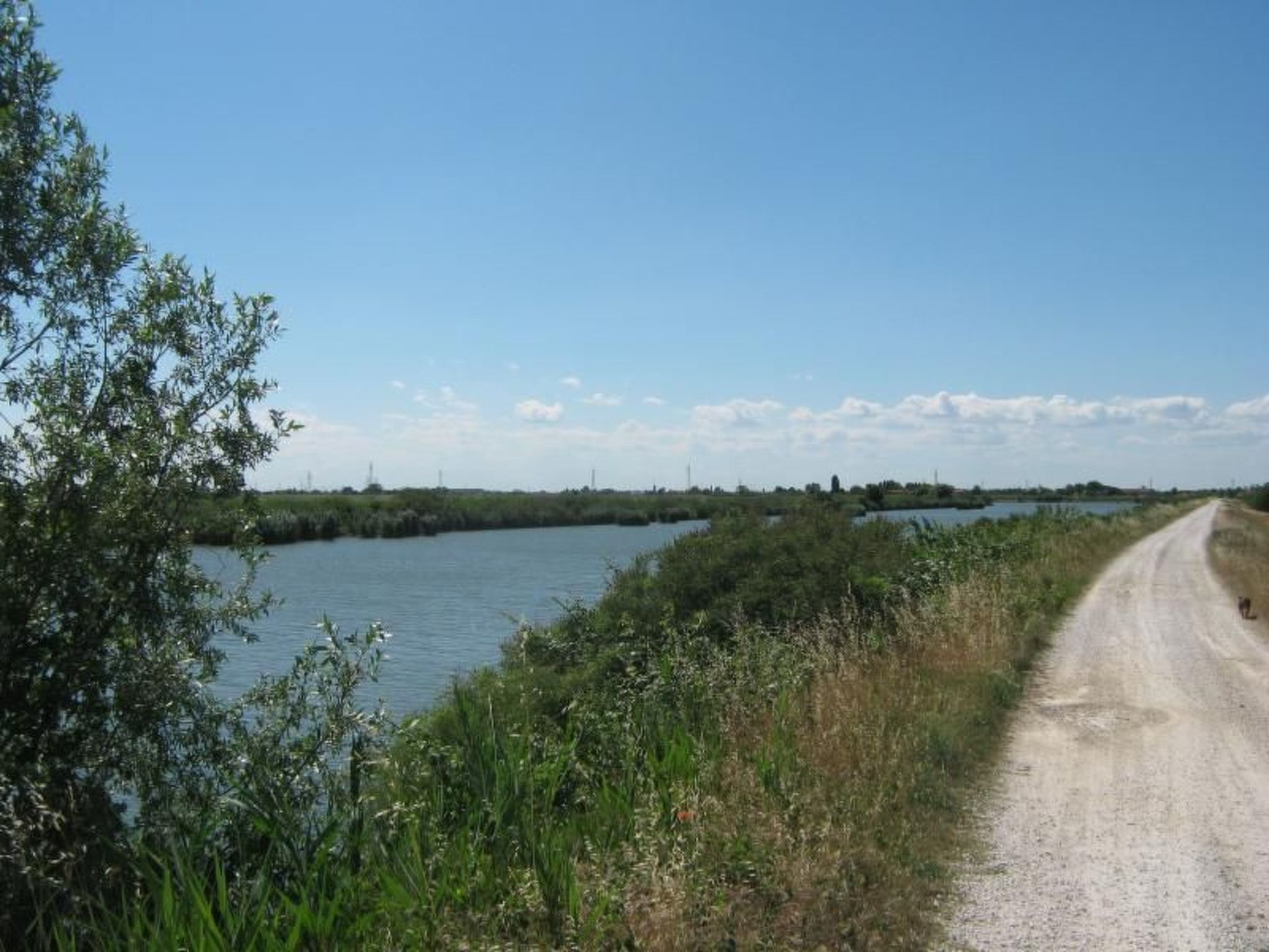 Appartement in Rosolina mit Garten und Grill-Buiten