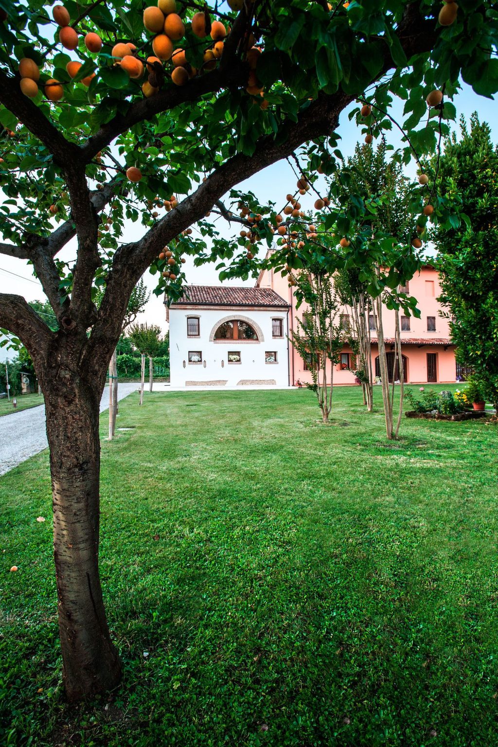Brick House in Silea - Buiten