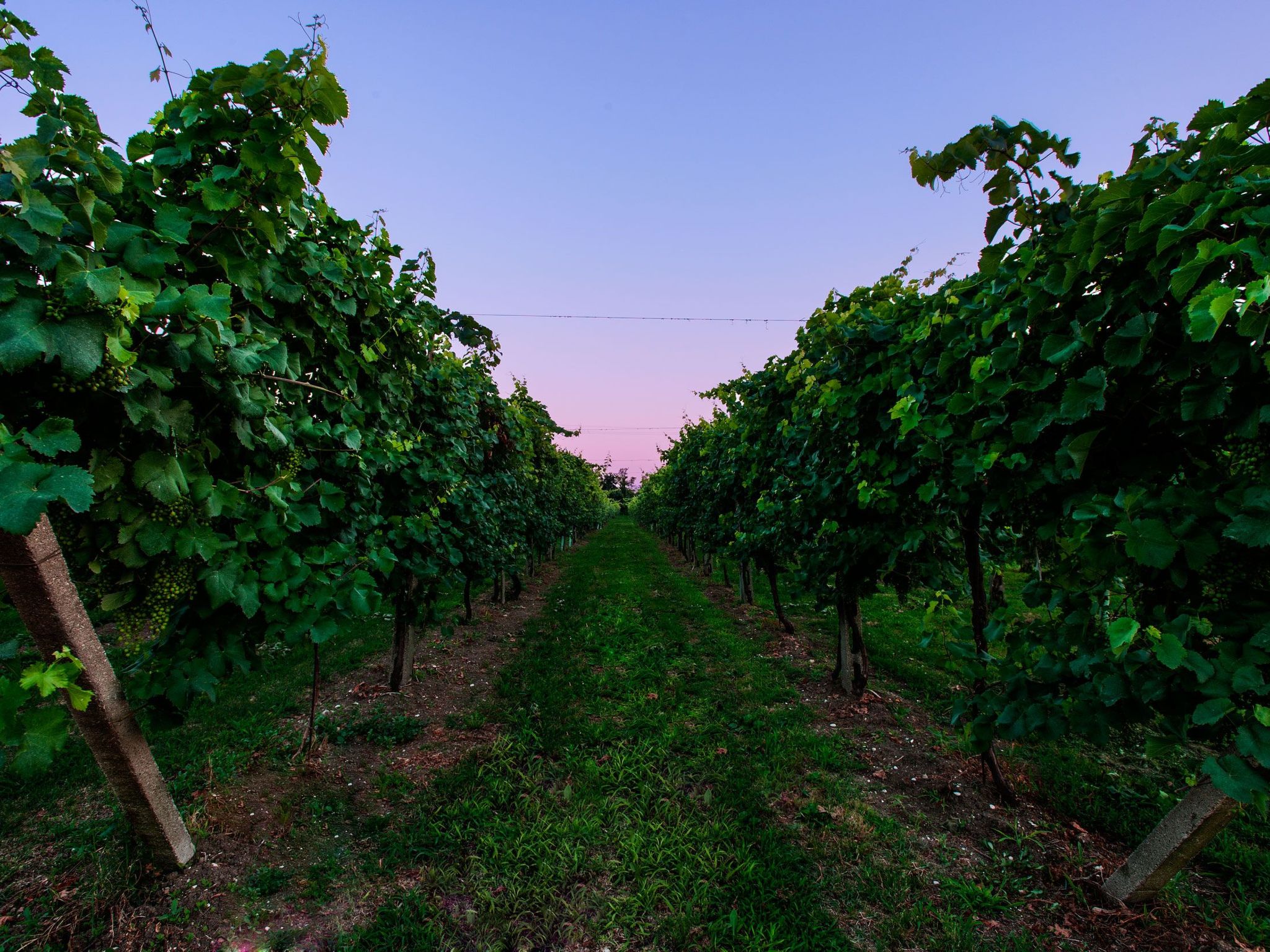 Brick House in Silea