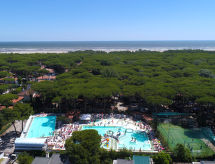 Mare e Pineta