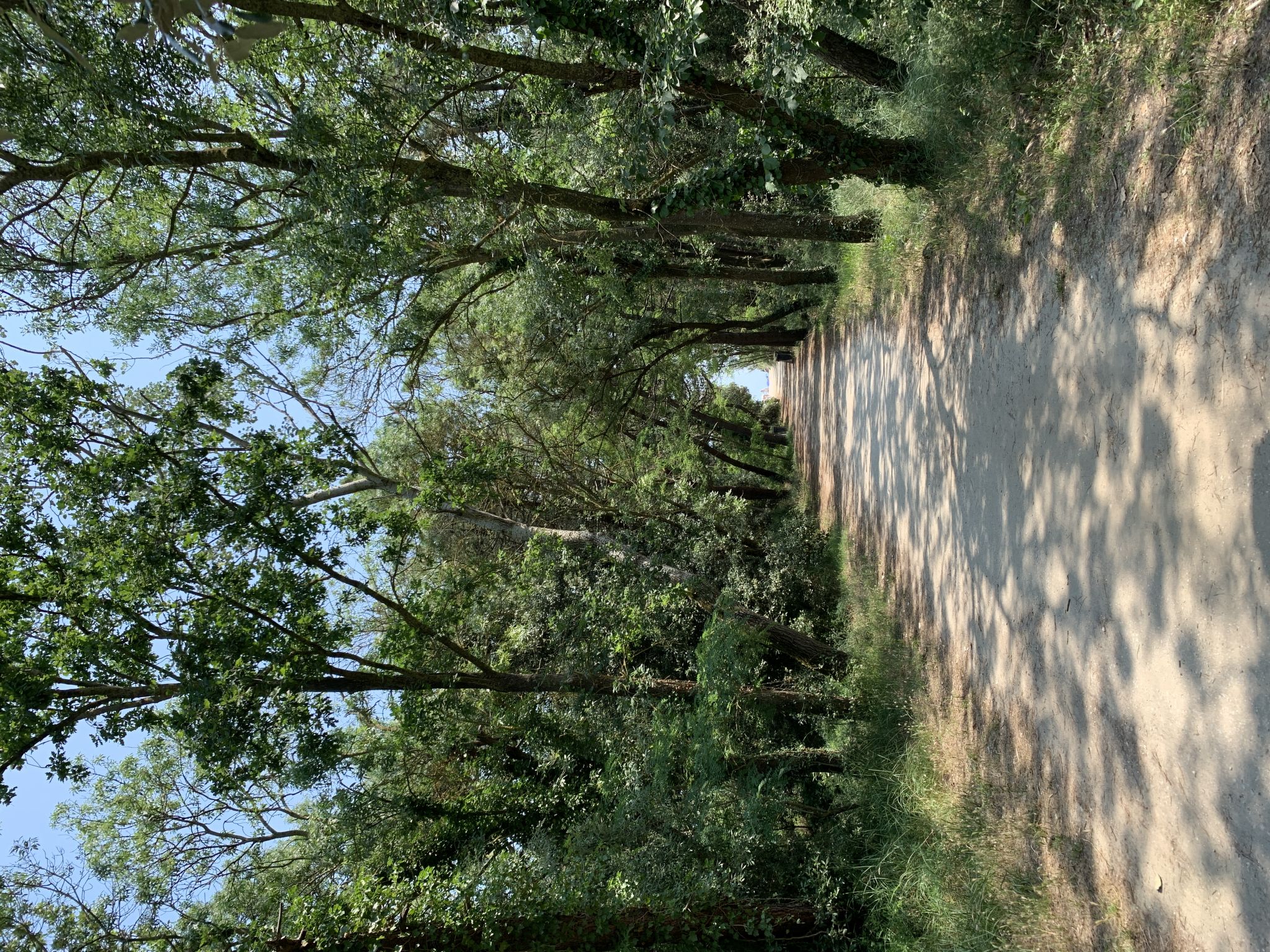 Maison Mare Pineta – Environs, photo 54 sur 57