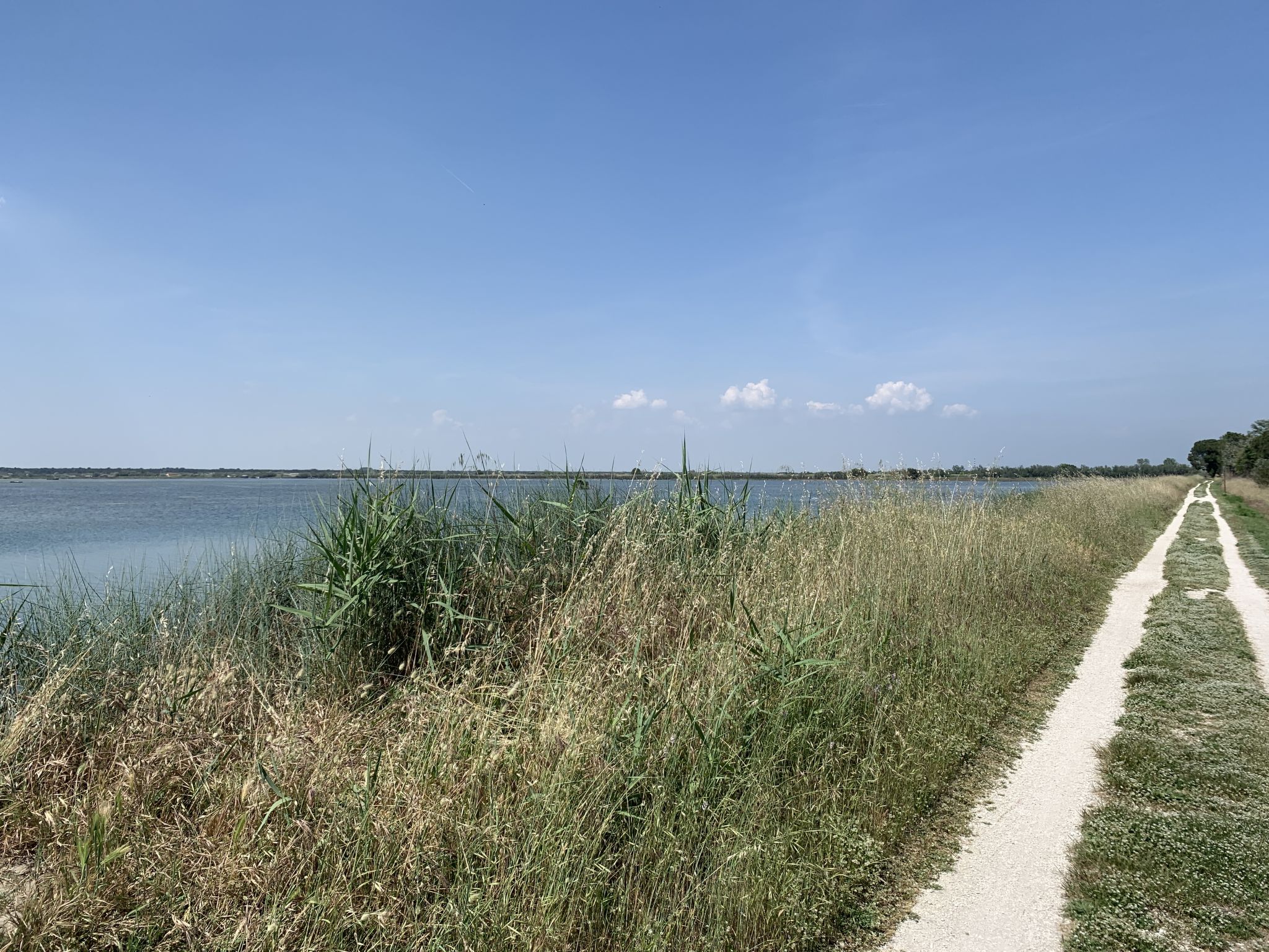 Rustiek vakantiehuis nabij zee en lagune in Marina Romea - foto 36