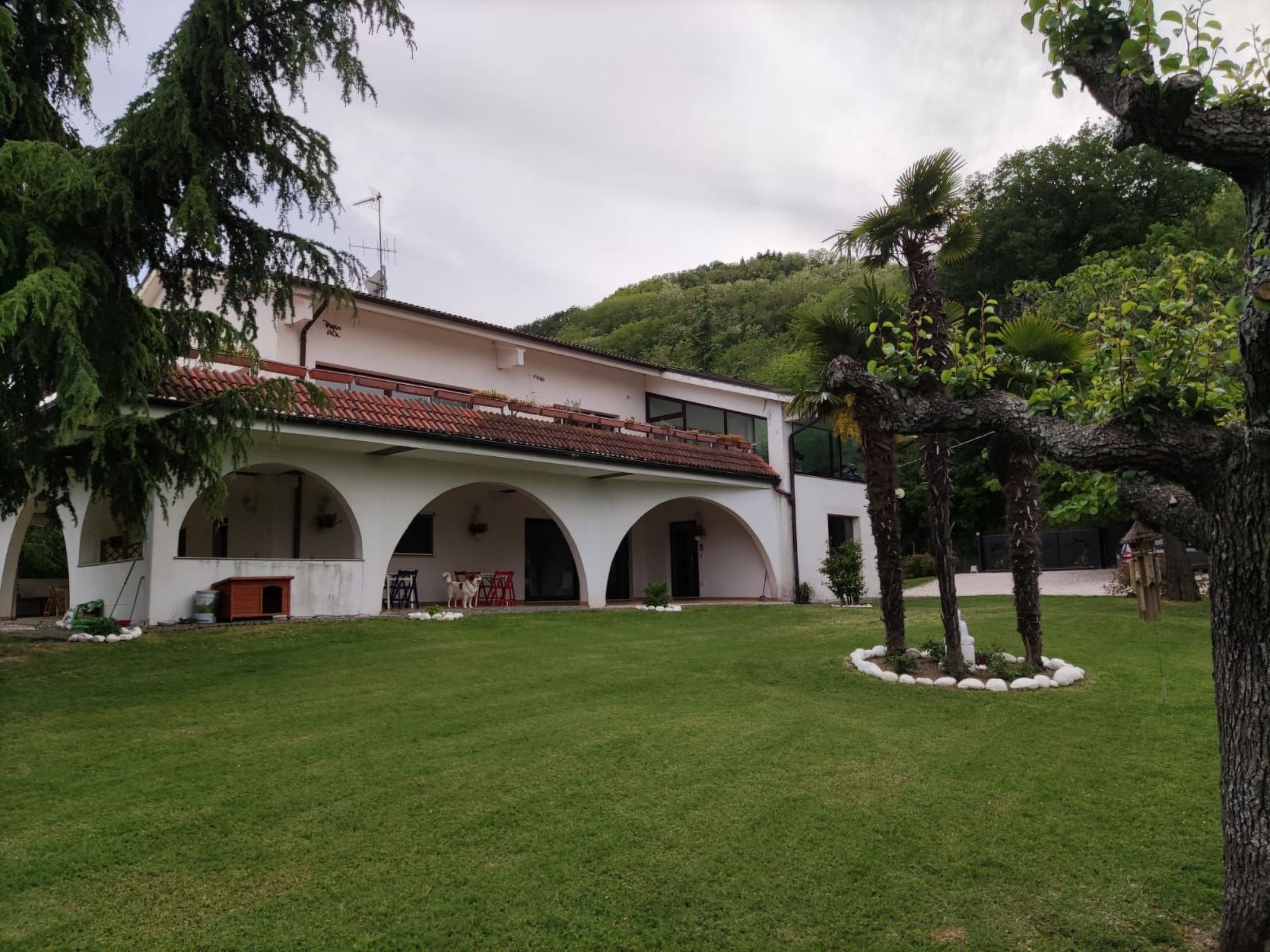 'Dear Peace on the Hill-Dedans