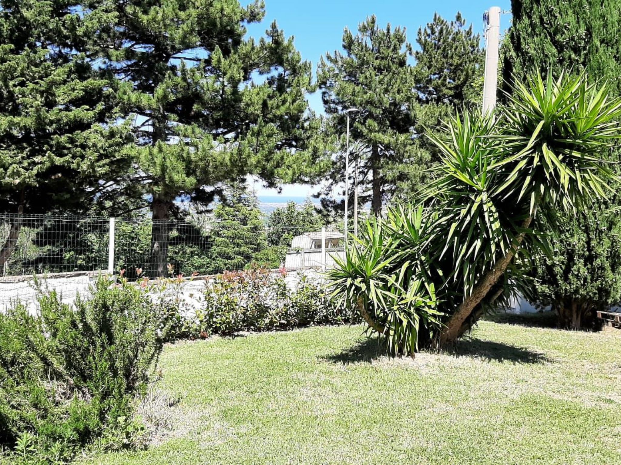 'Dear Peace on the Hill-Dedans