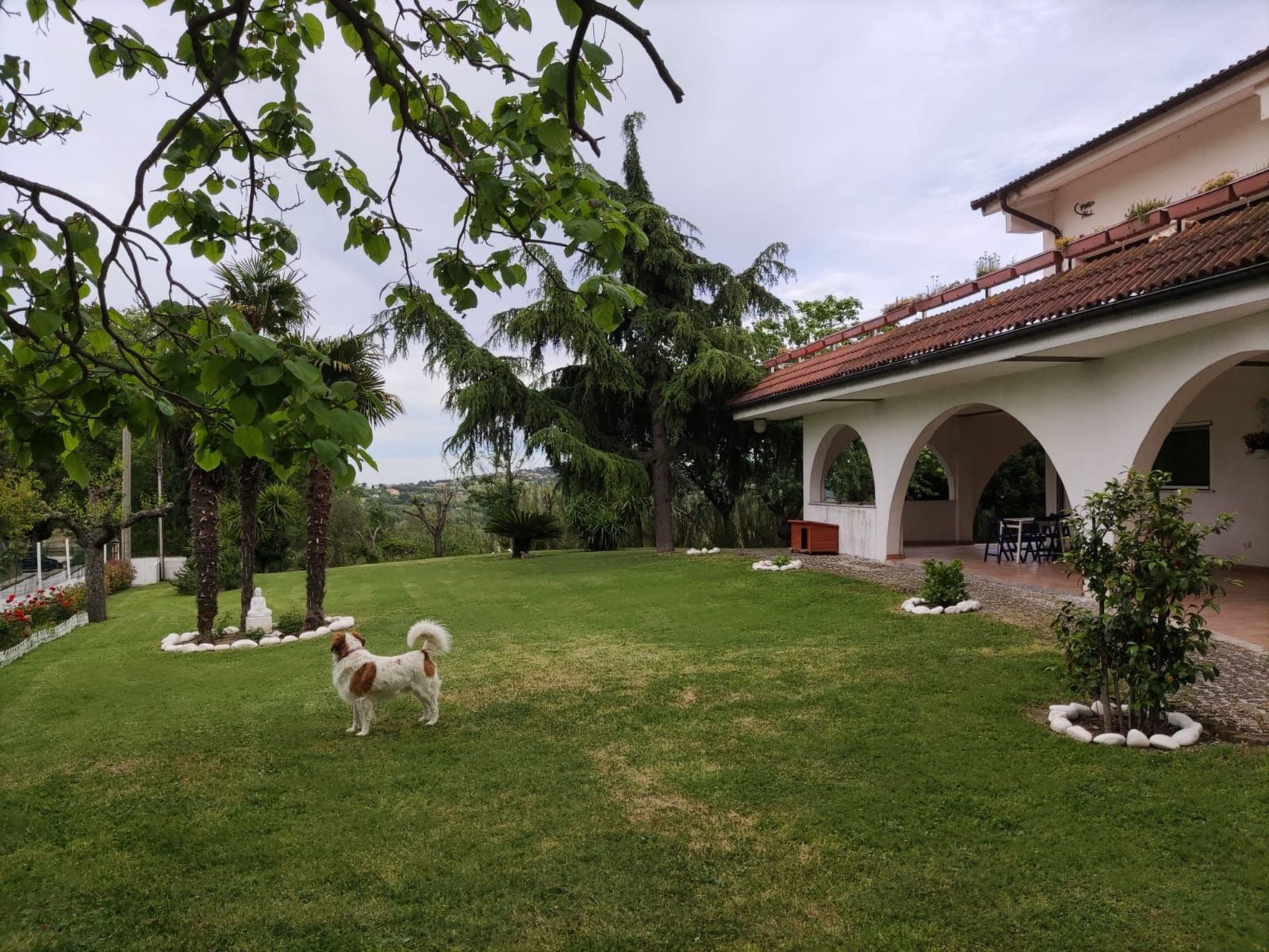 'Dear Peace on the Hill-Dedans