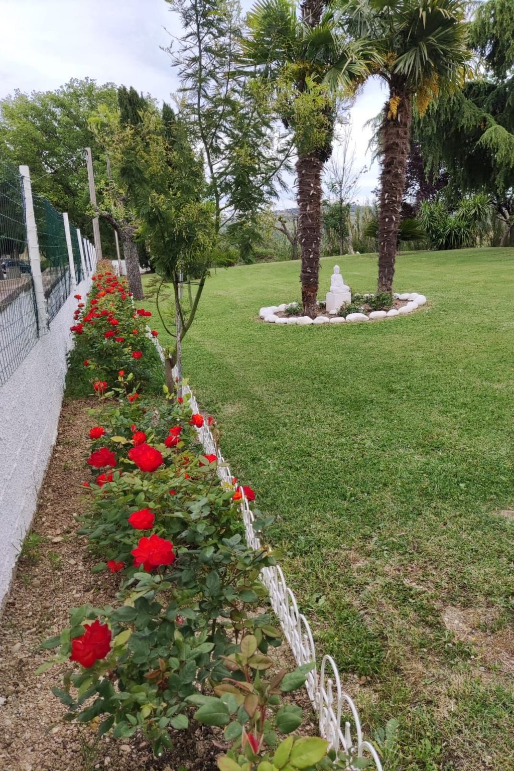 'Dear Peace on the Hill-Dedans