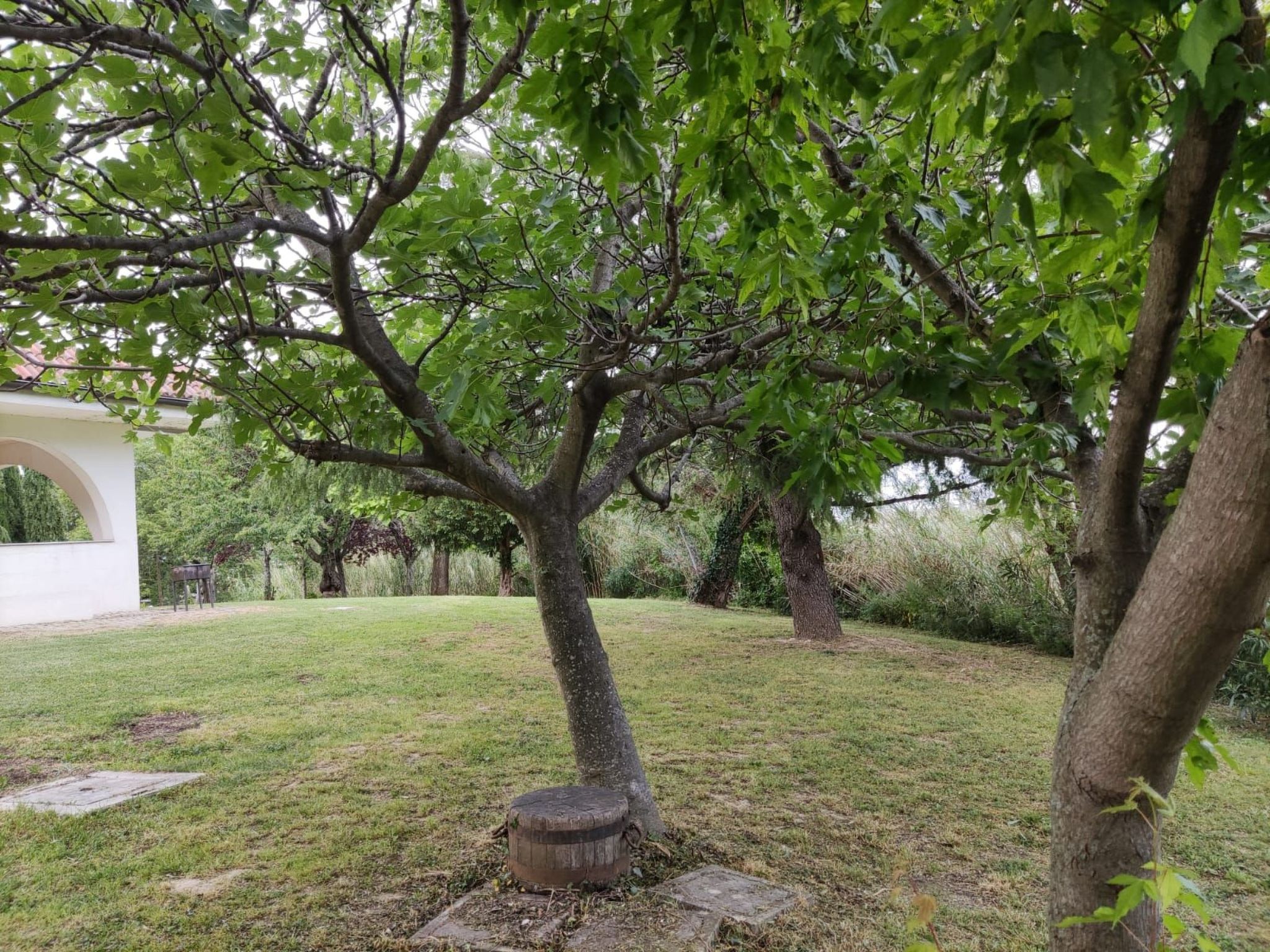 'Dear Peace on the Hill-Dedans