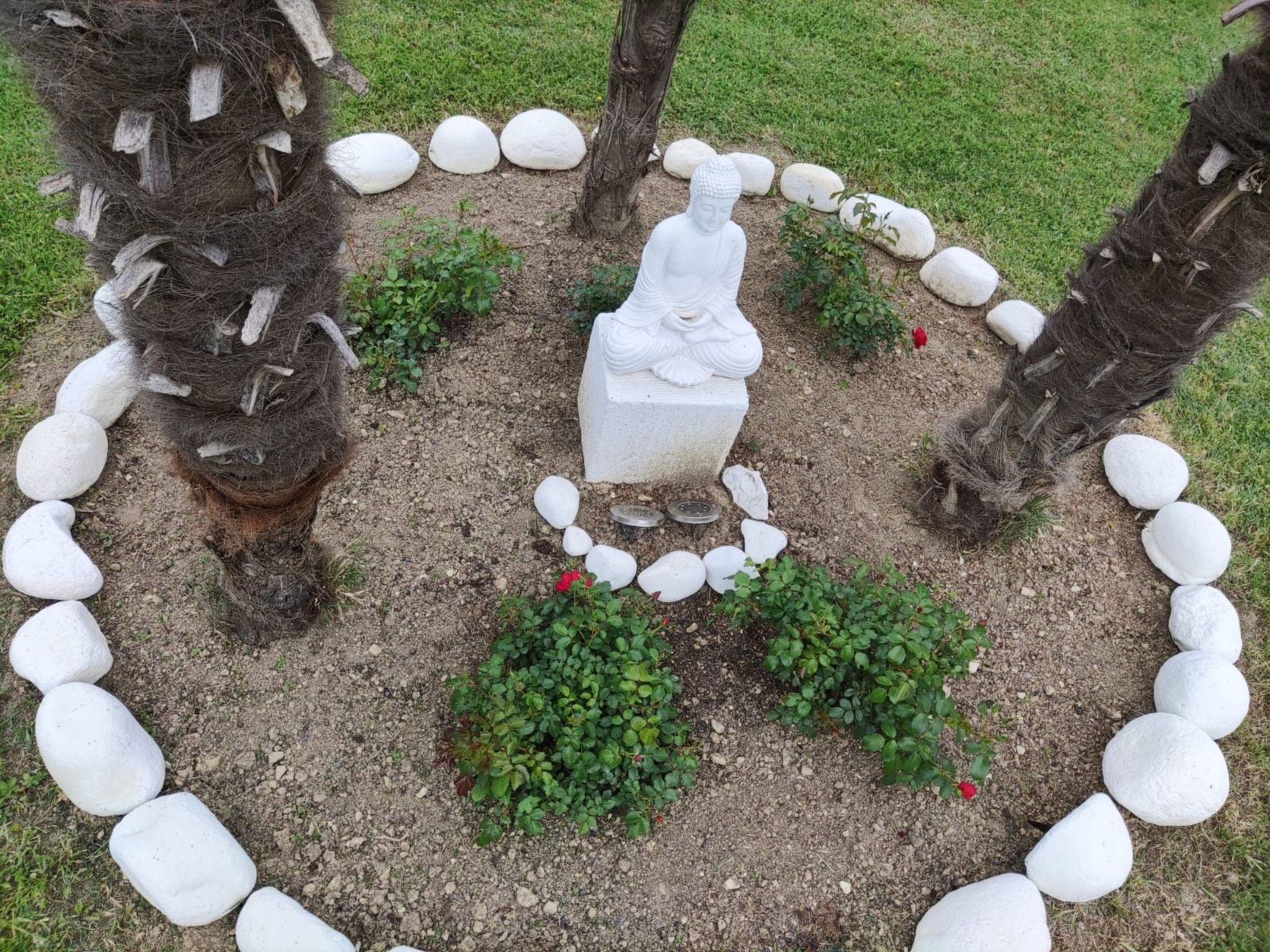 'Dear Peace on the Hill-Dedans