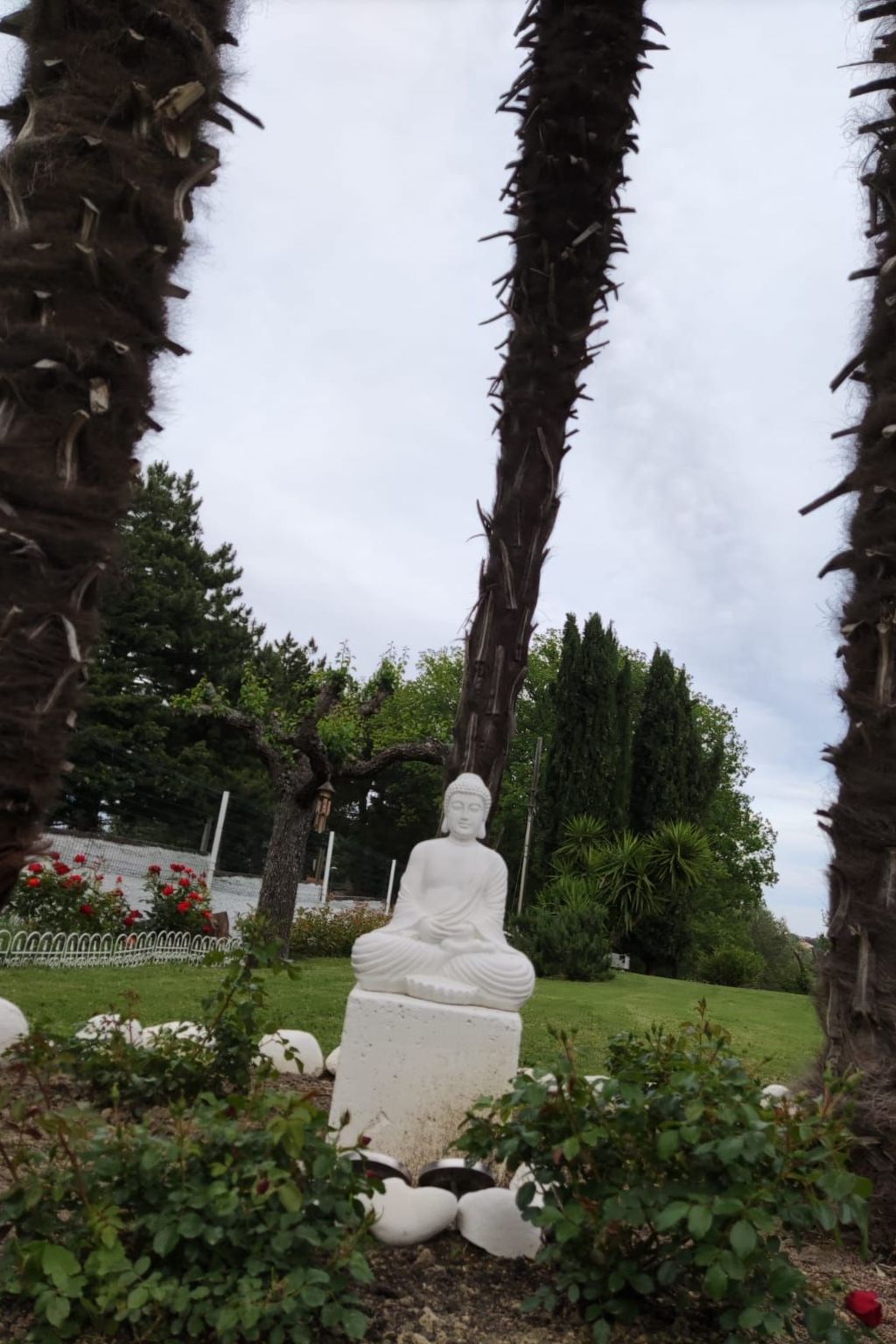 'Dear Peace on the Hill-Dedans