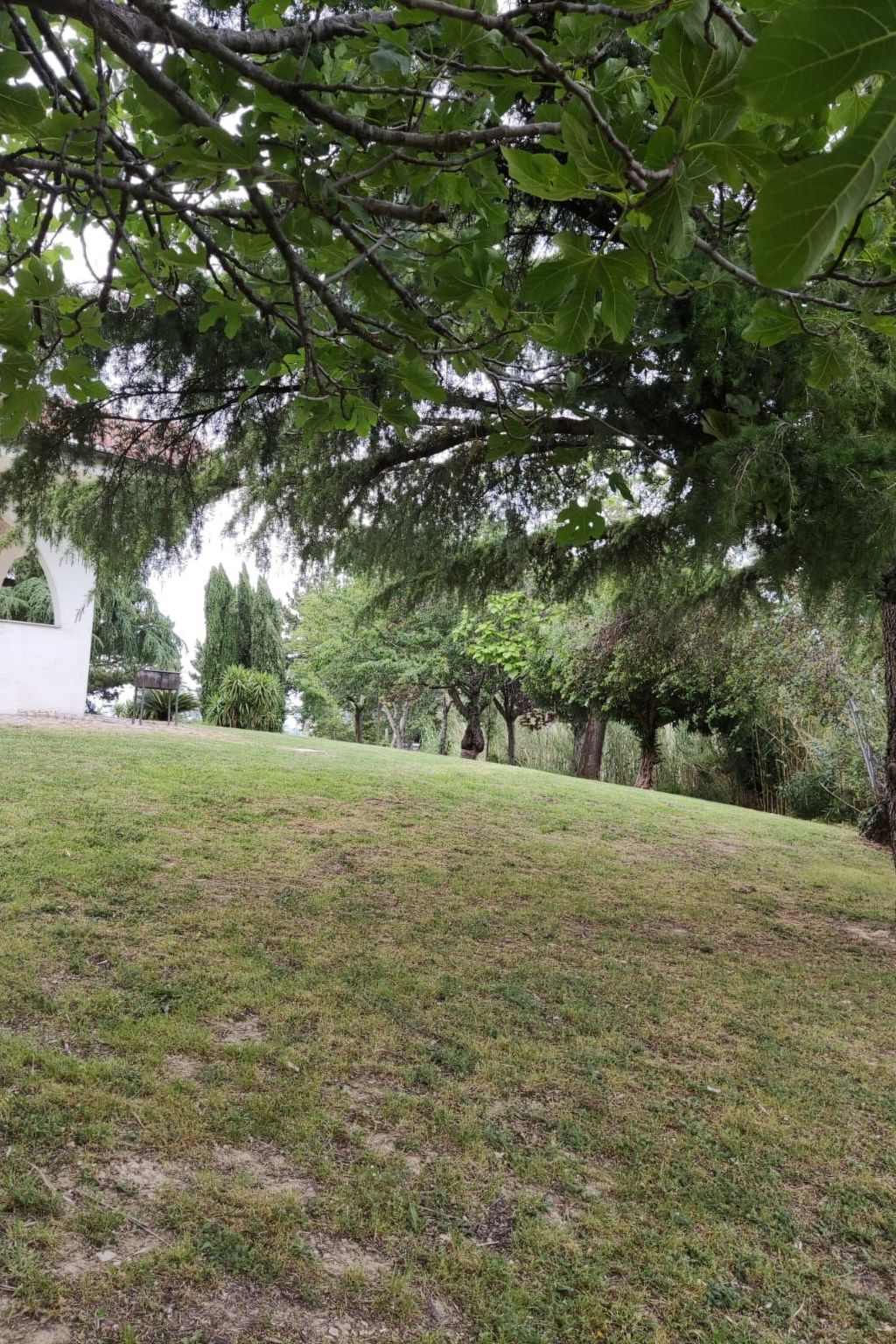 'Dear Peace on the Hill-Dedans