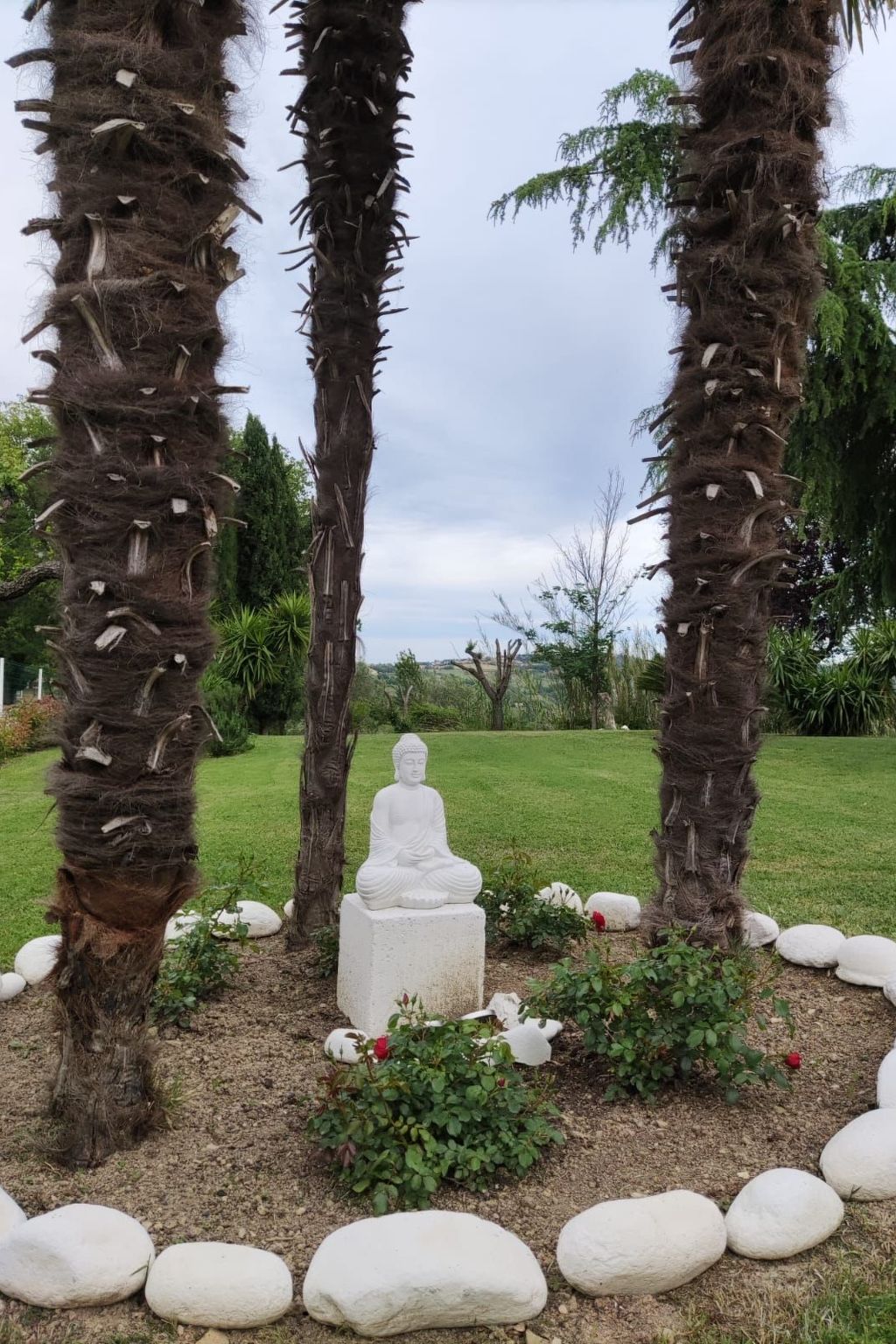 'Dear Peace on the Hill-Dedans