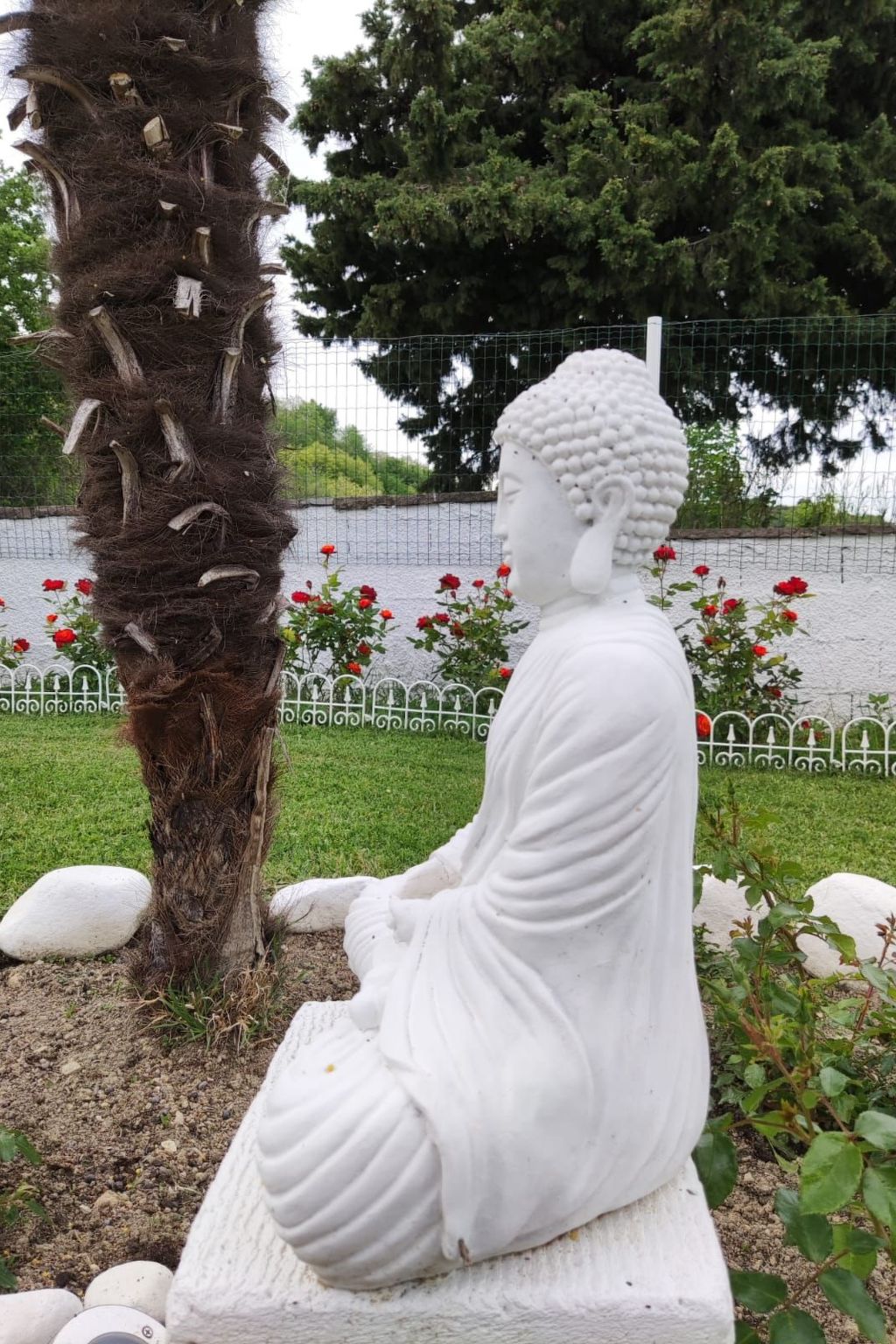 'Dear Peace on the Hill-Dedans