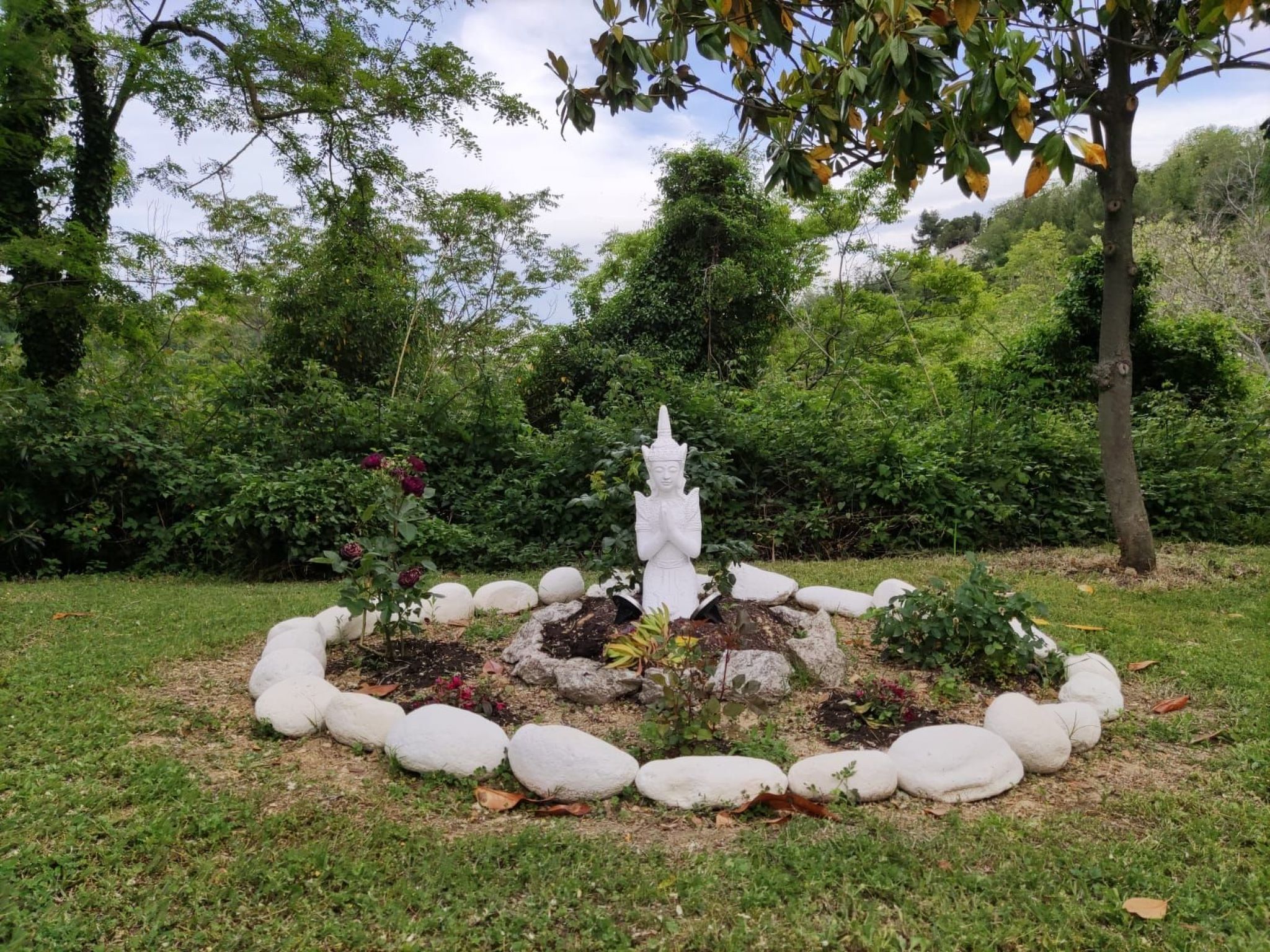 'Dear Peace on the Hill-Dedans