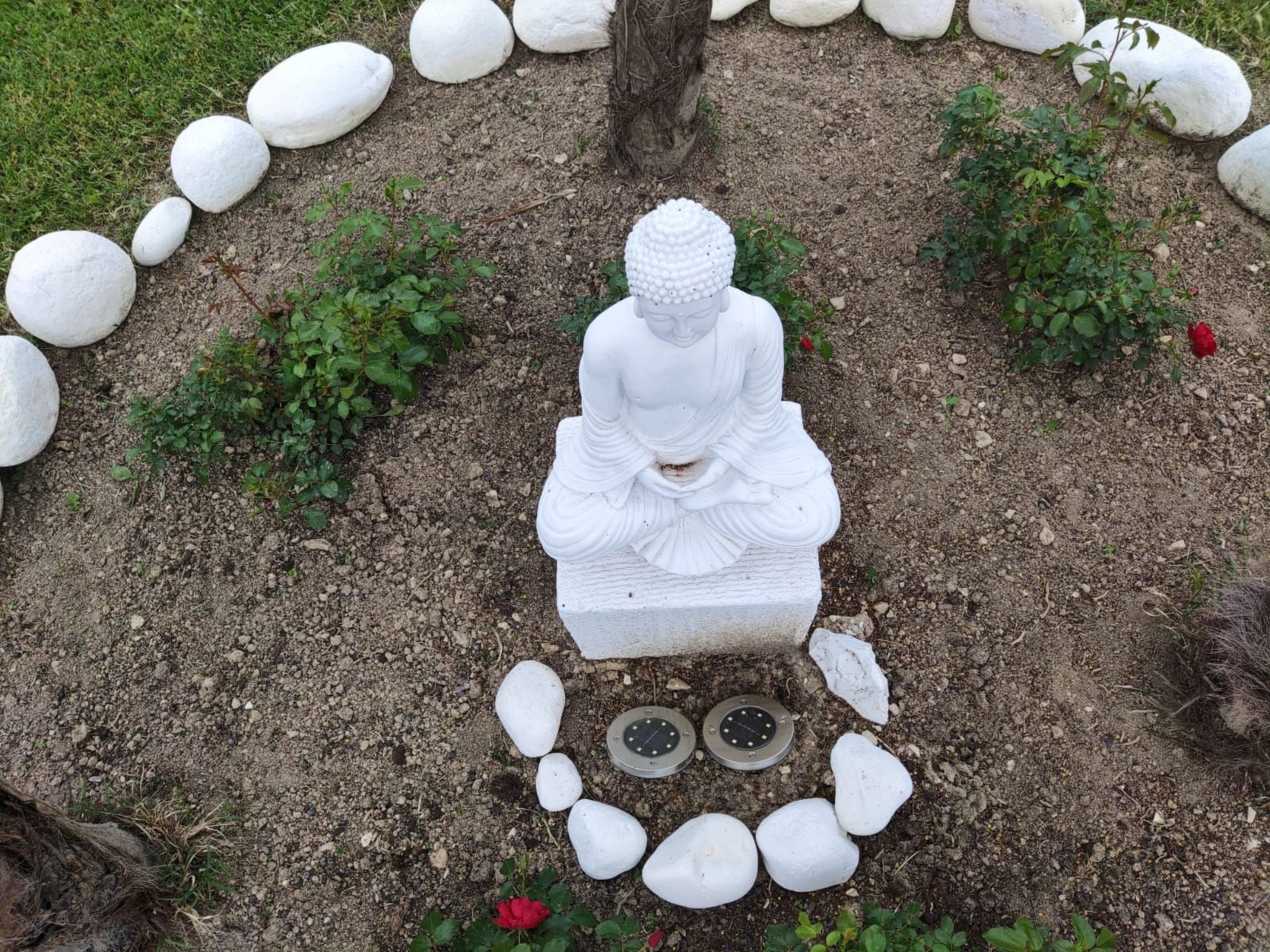 'Dear Peace on the Hill-Dedans