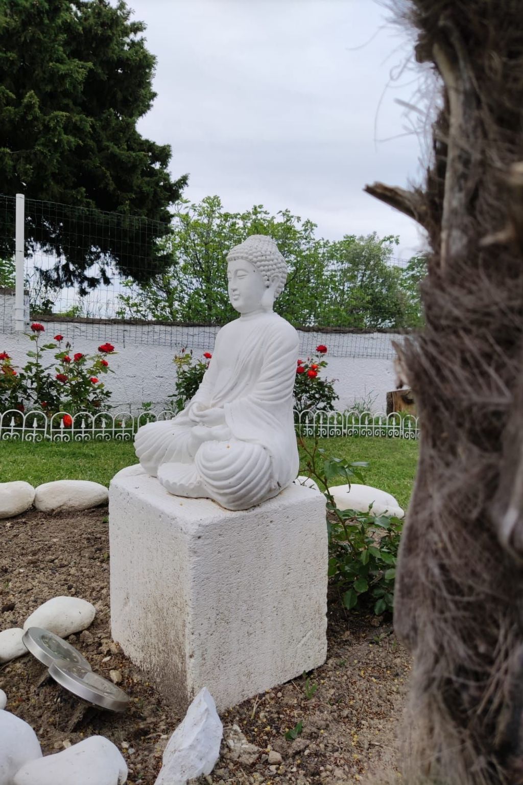 'Dear Peace on the Hill-Dedans