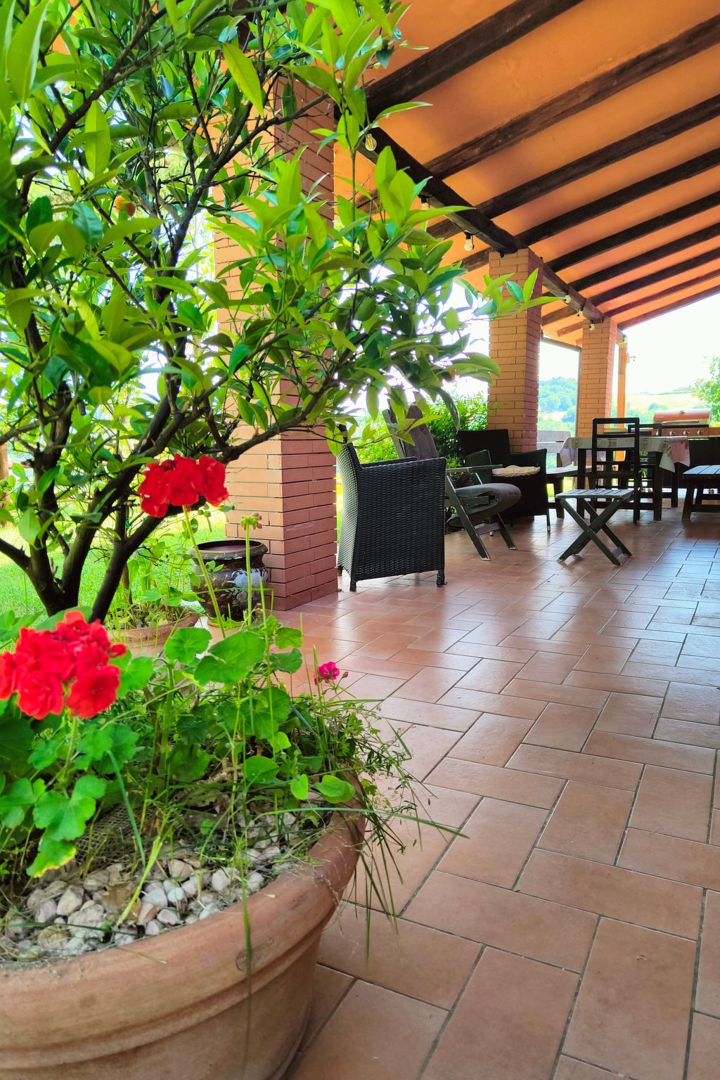 Landgut "TenutaQuarantaOlivi-Drinnen