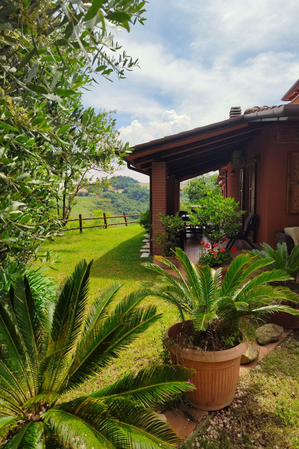 Landgut "TenutaQuarantaOlivi-Drinnen