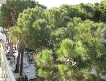 Appartement Bellavista 4