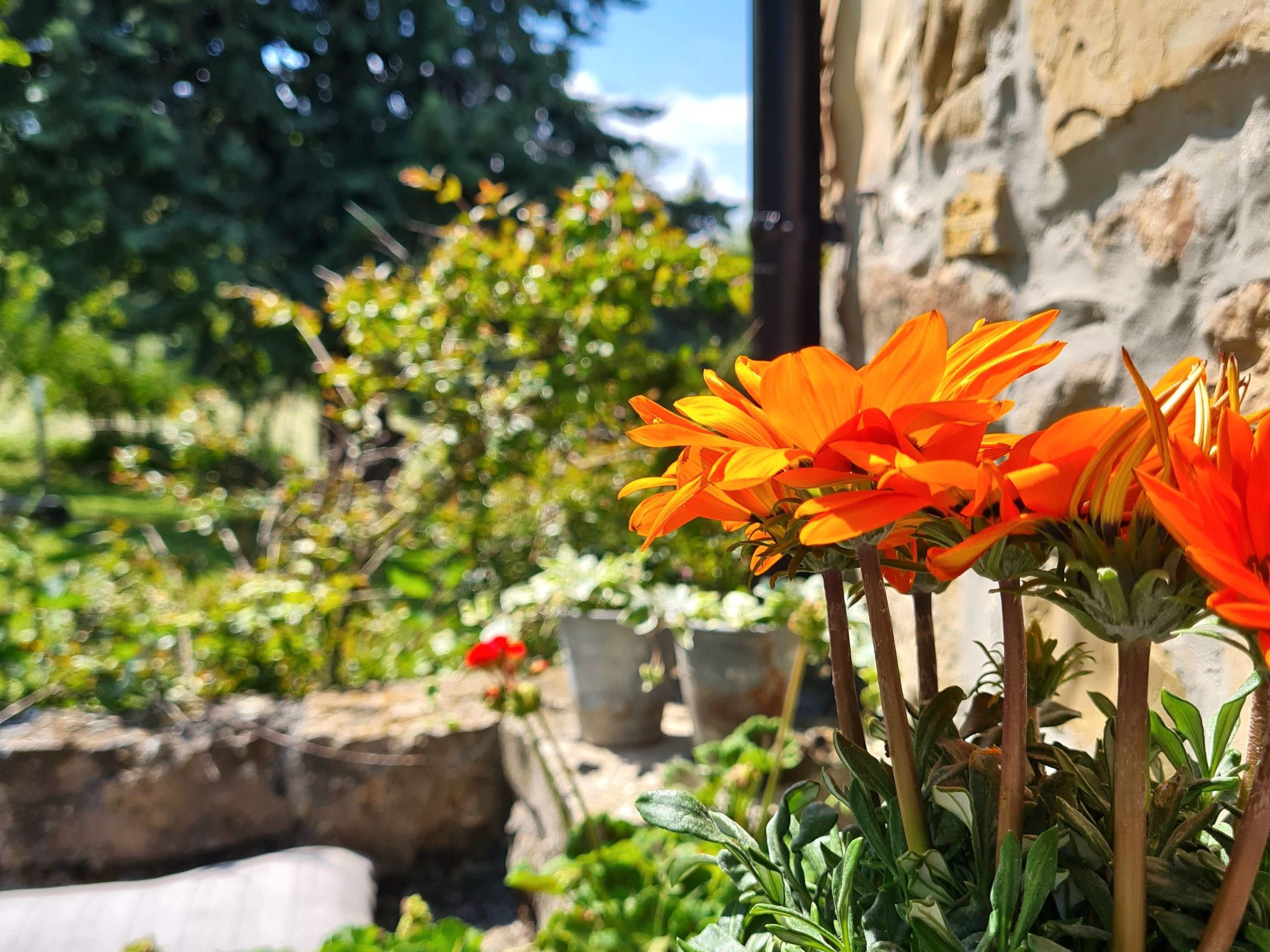 Von der Festung zum Meer" - Ihr Zuhause in San Leo-Image-tags.info