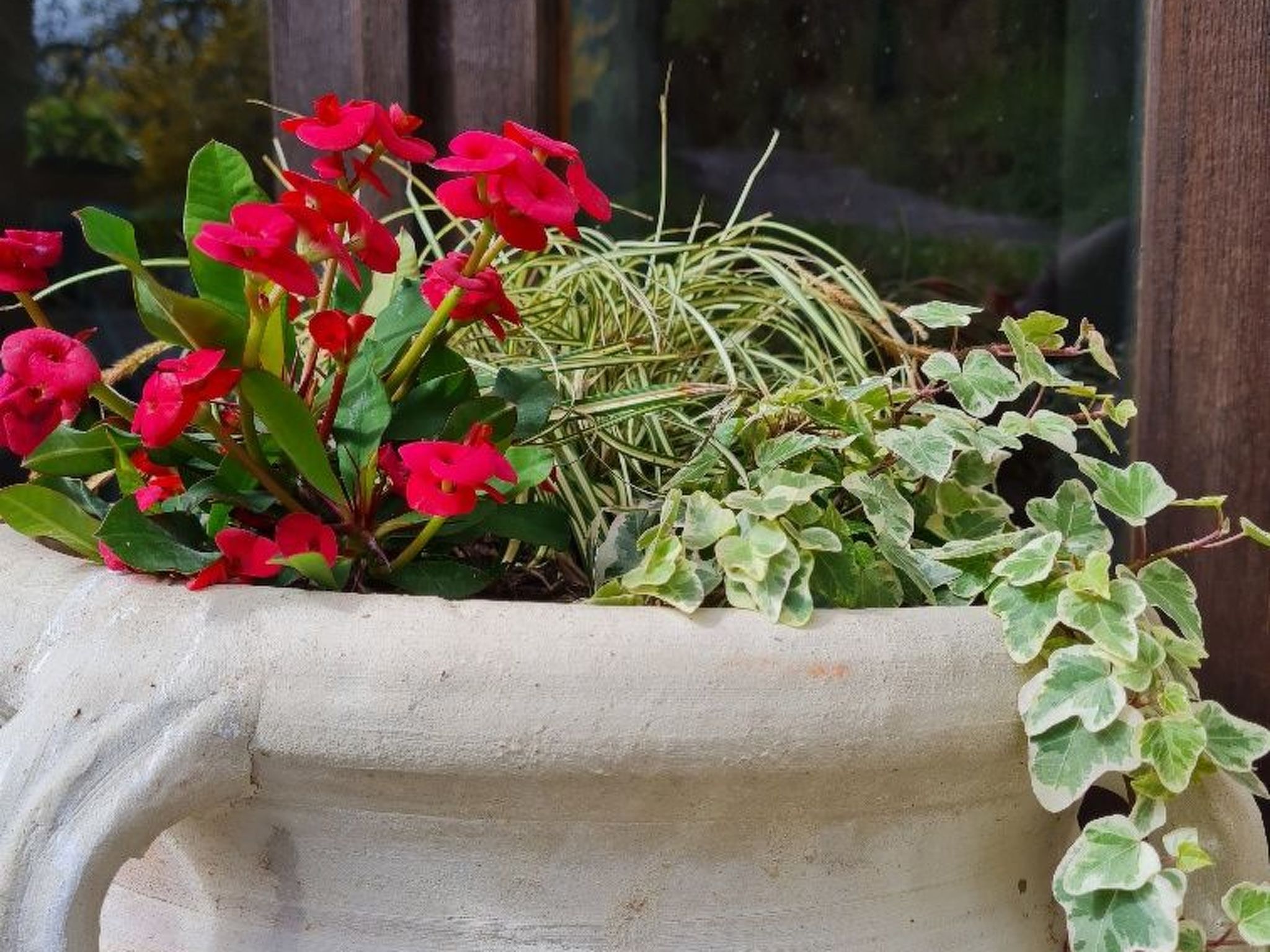 Von der Festung zum Meer" - Ihr Zuhause in San Leo-Image-tags.info