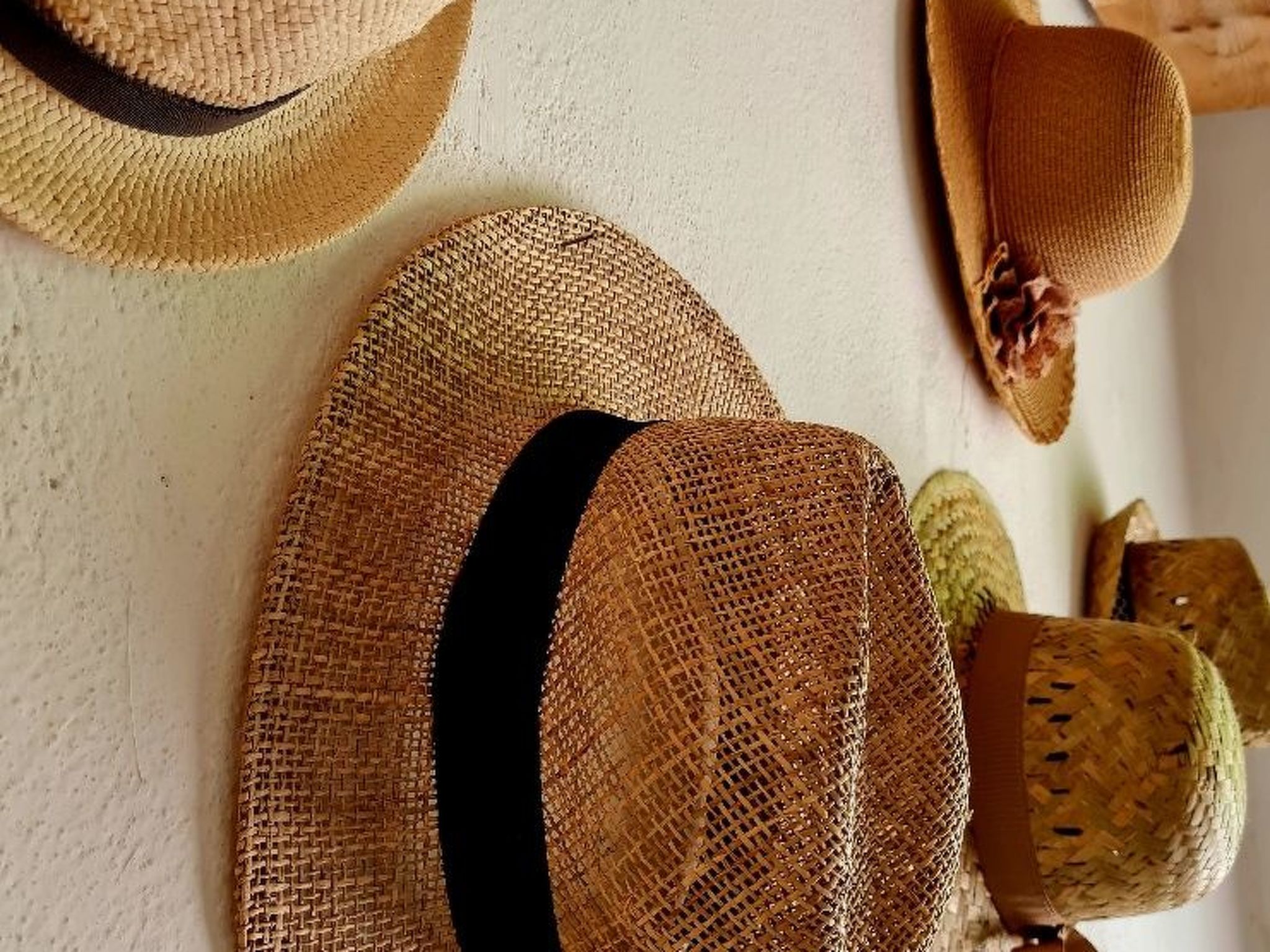 Von der Festung zum Meer" - Ihr Zuhause in San Leo-Image-tags.info