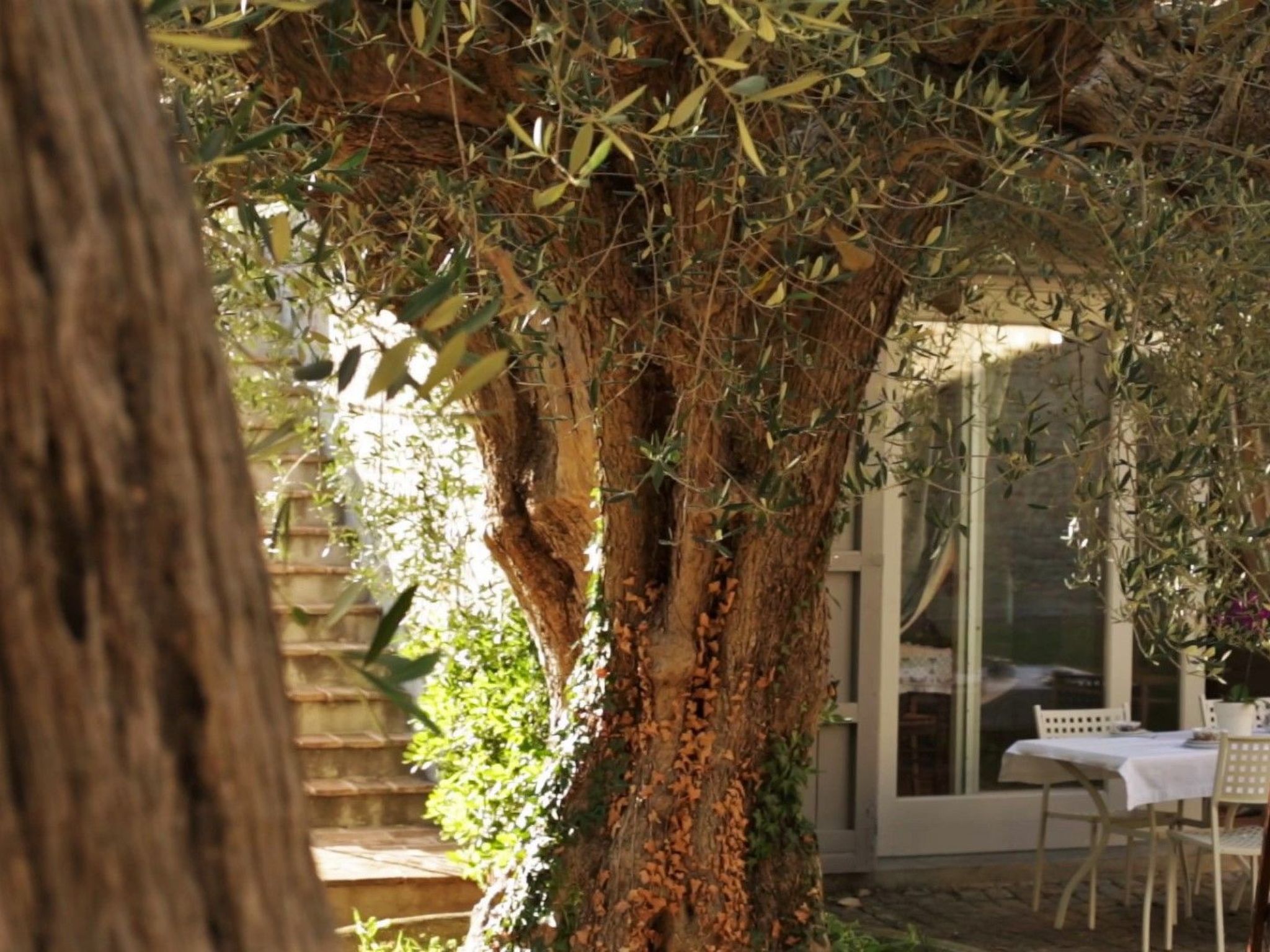 In einem Bauernhaus in den Hügeln, mit Garten und Pool-Binnen