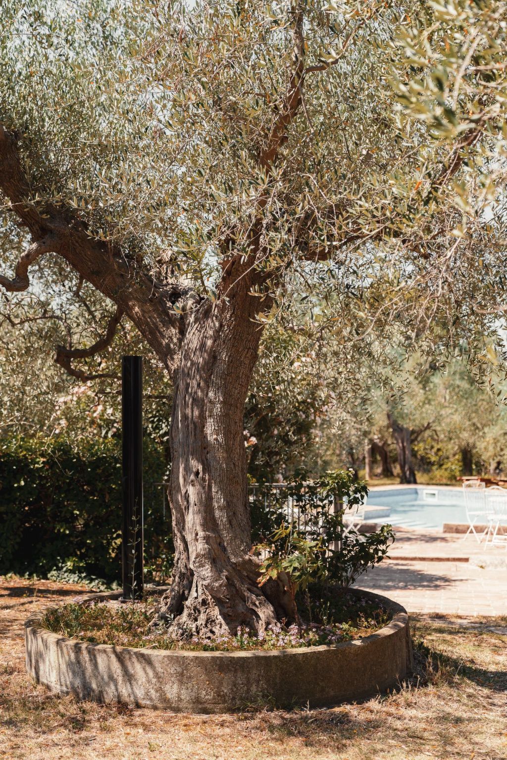 In einem Bauernhaus in den Hügeln, mit Garten und Pool-Binnen