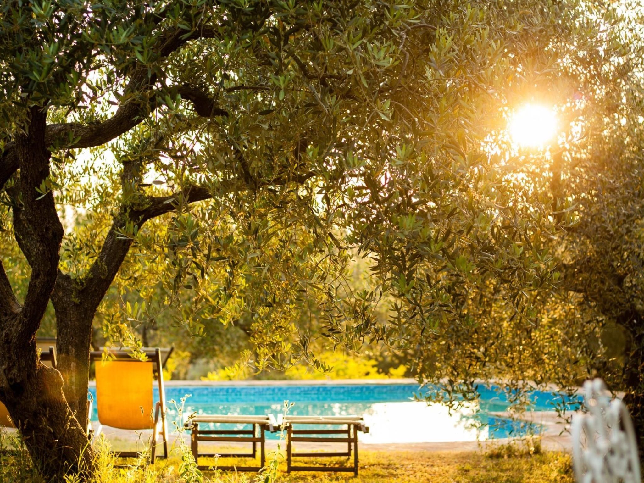 Studio-Apartment mit Sommerpool, Garten und Aussicht-Binnen