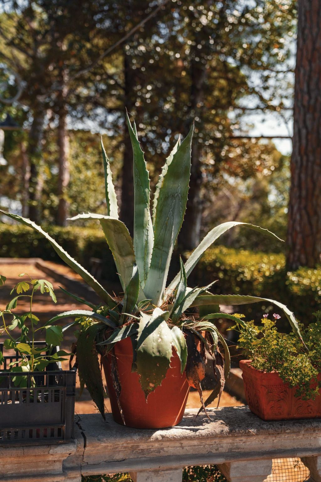 Drei-Zimmer-Panorama-Wohnung mit Terrasse und Sommerpool-Drinnen