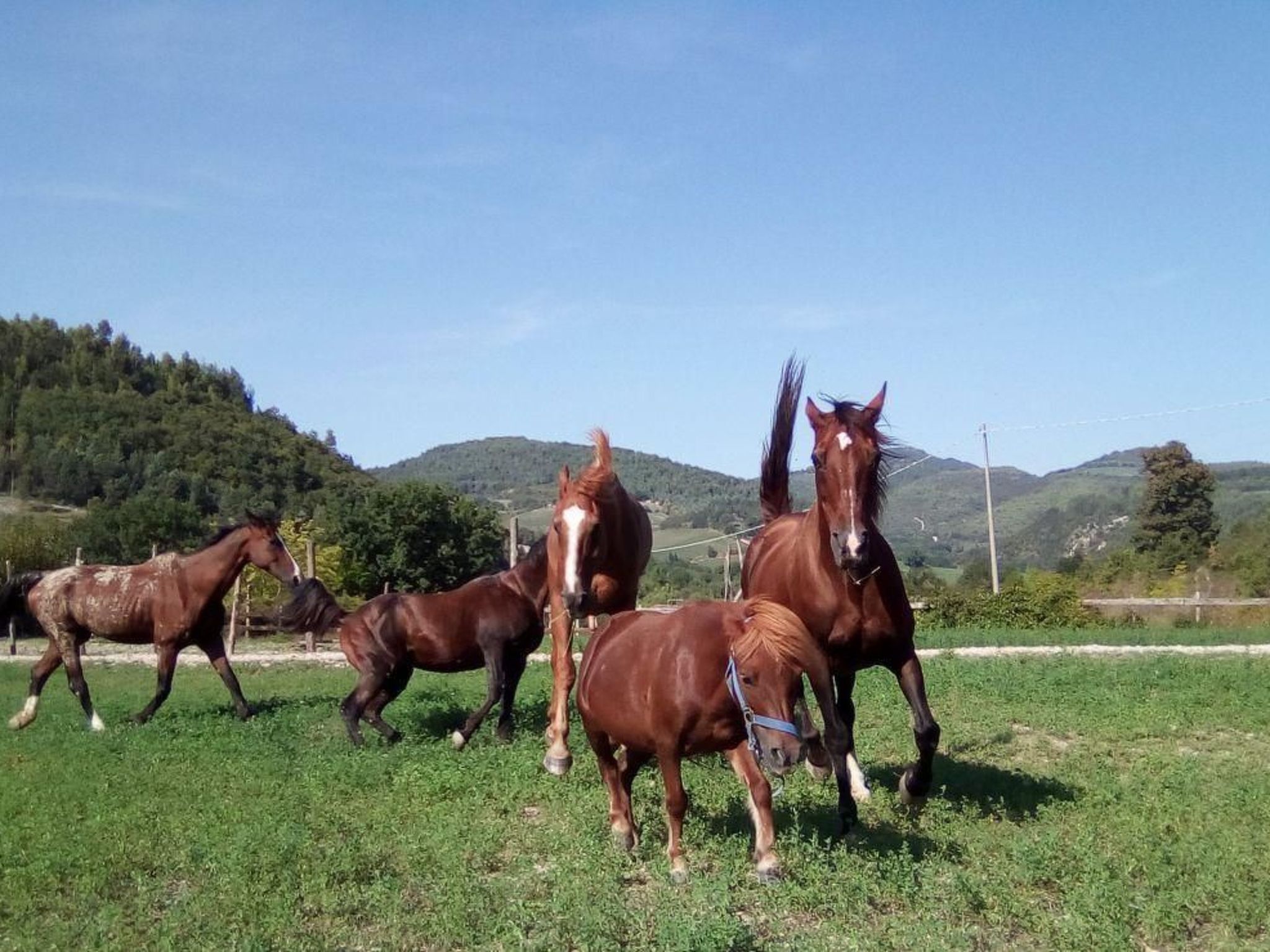 Landhaus mit einer atemberaubenden Aussicht,-Binnen