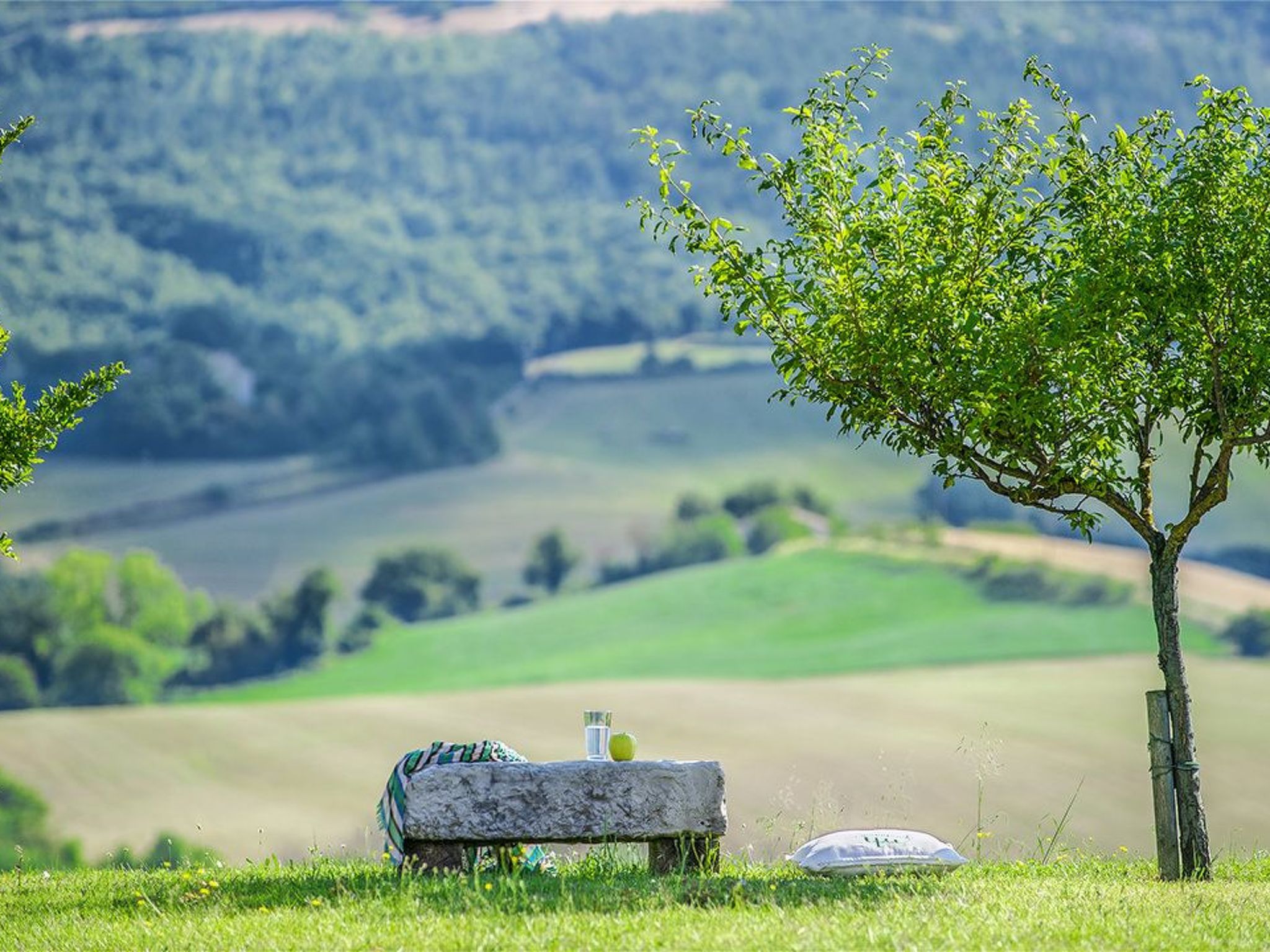 Ferienvilla 'Checello' mit privatem Pool-Binnen
