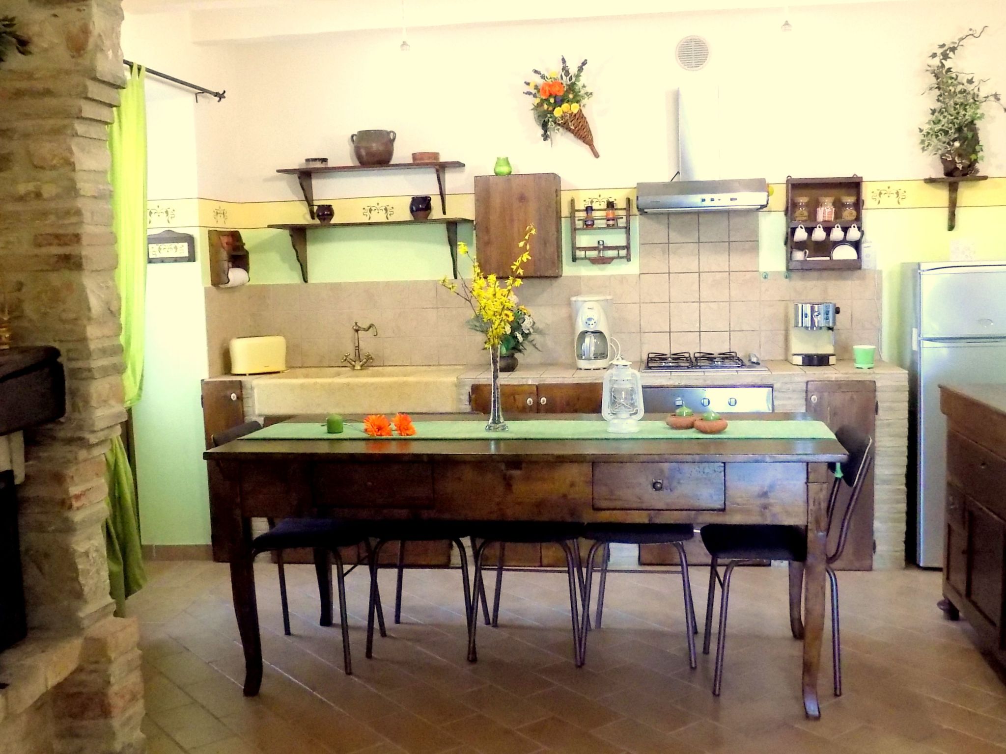 Iris in Cagli-Image-tags.info