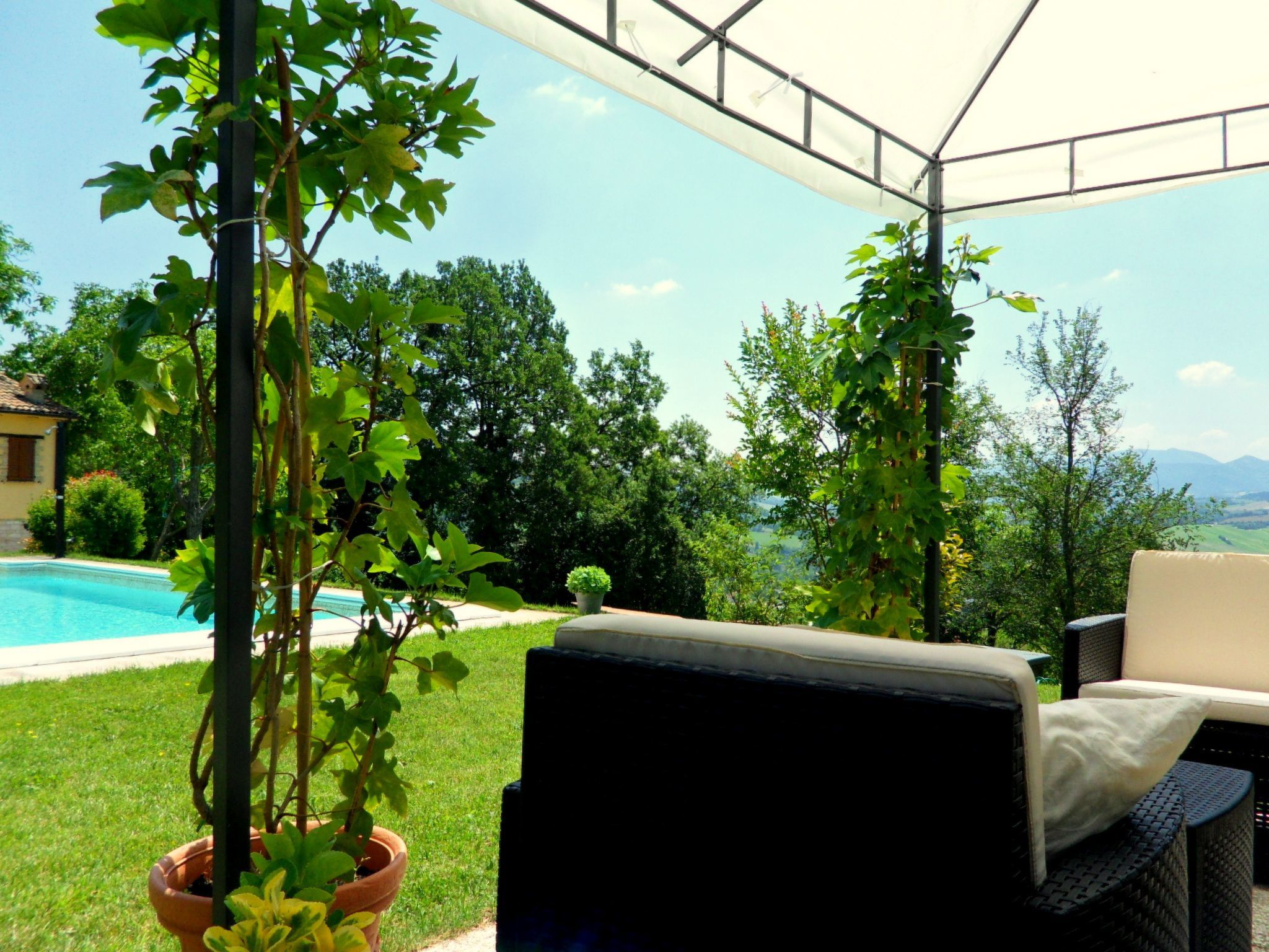 Iris in Cagli-Image-tags.info