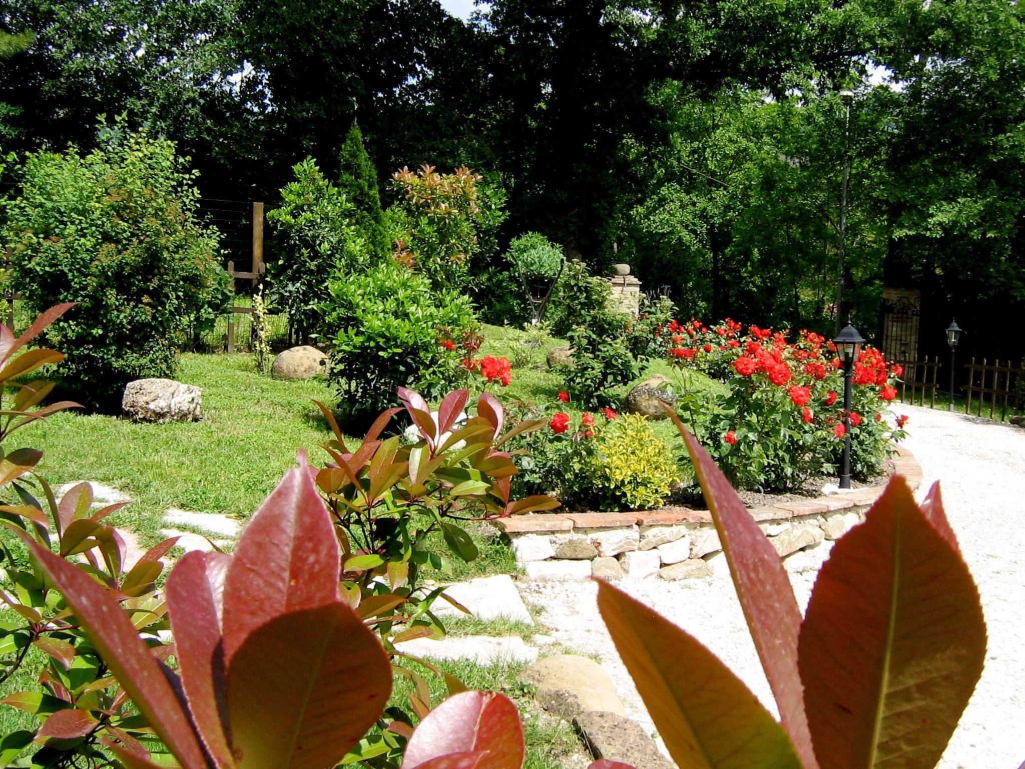 Iris in Cagli-Image-tags.info