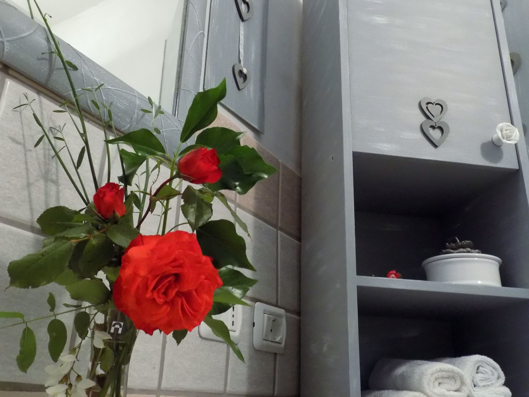 Flacher Flieder-Binnen