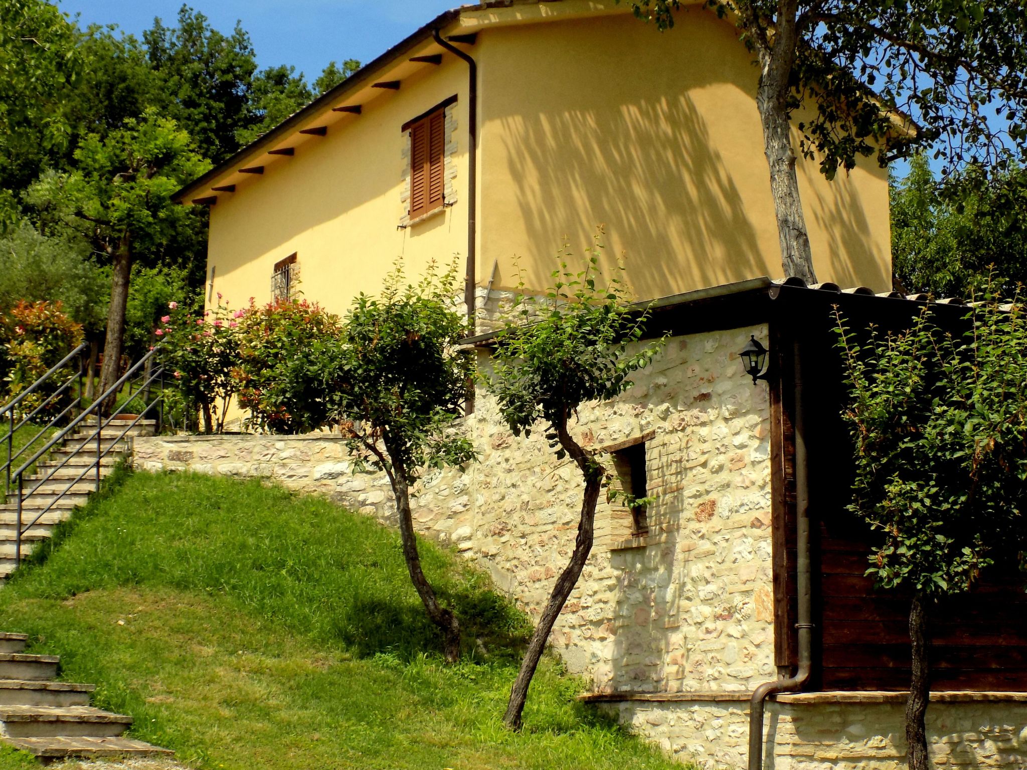 Flacher Flieder-Binnen