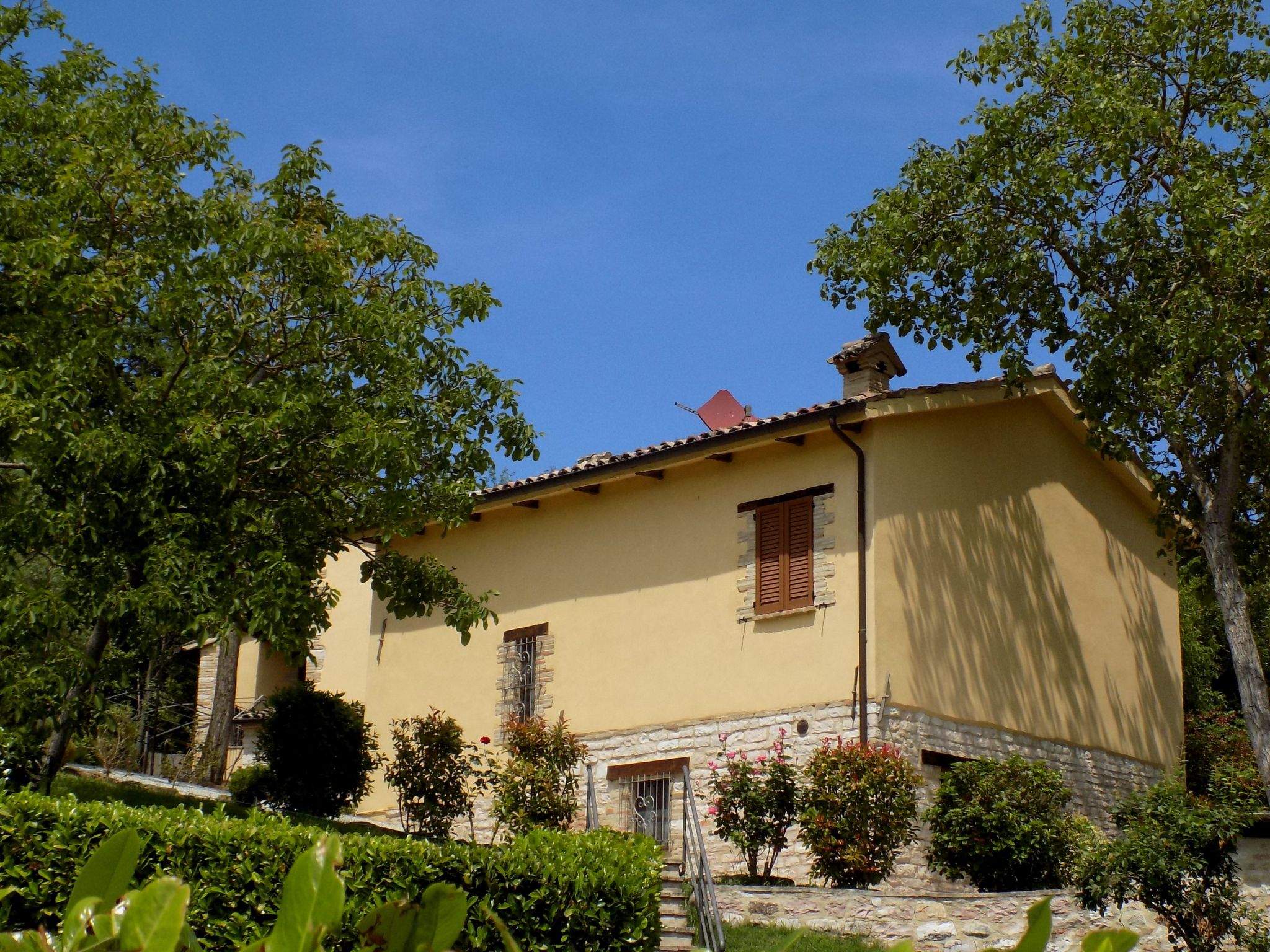 Flacher Flieder-Binnen