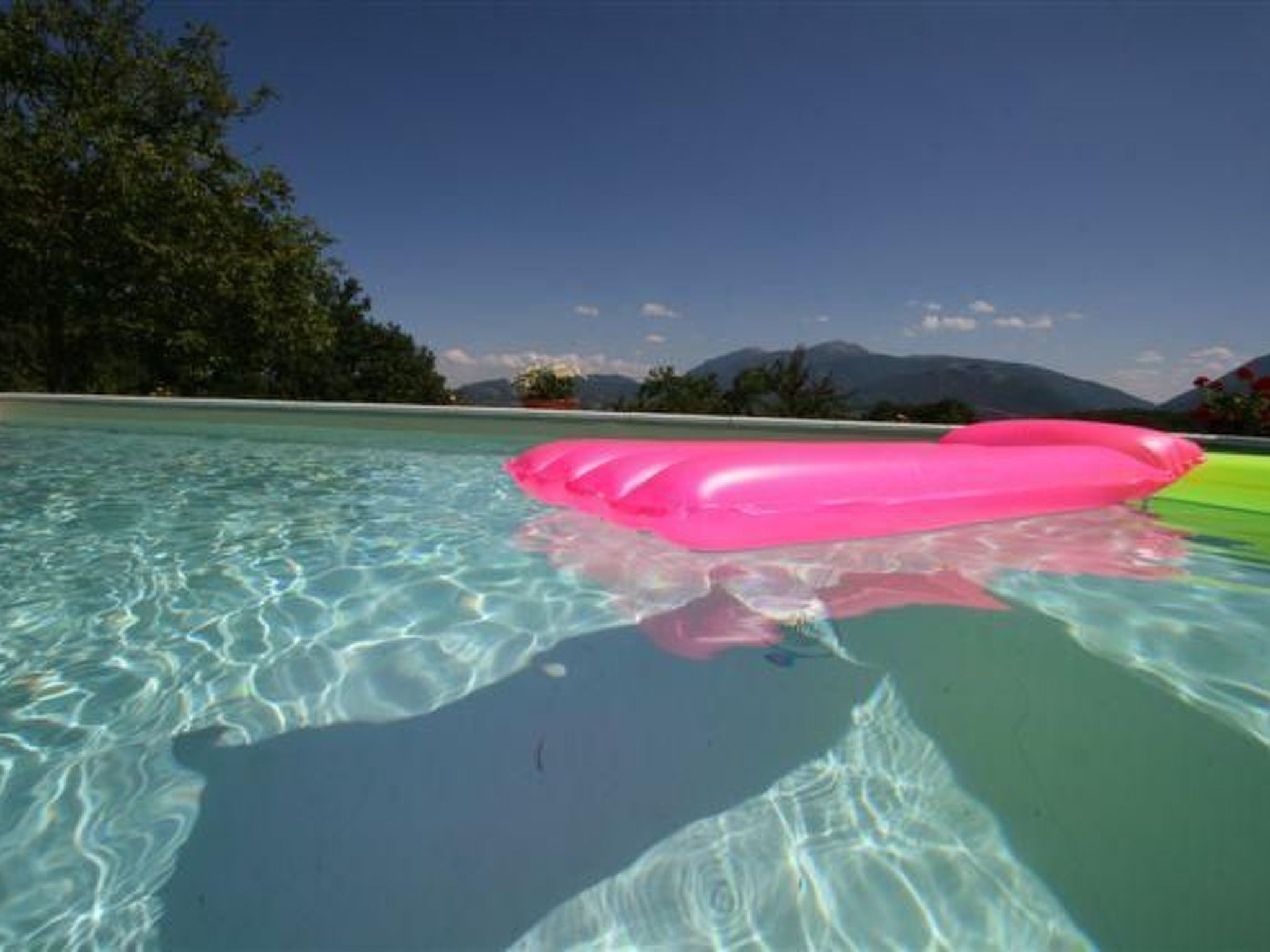 Flacher Flieder-Binnen