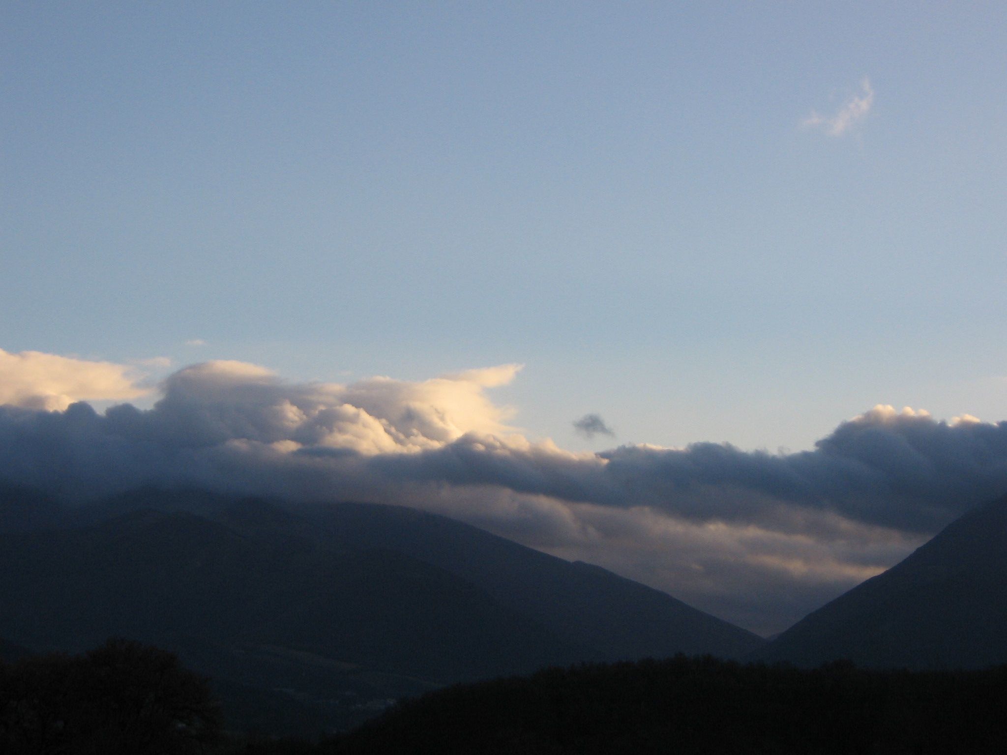 Flacher Flieder-Binnen
