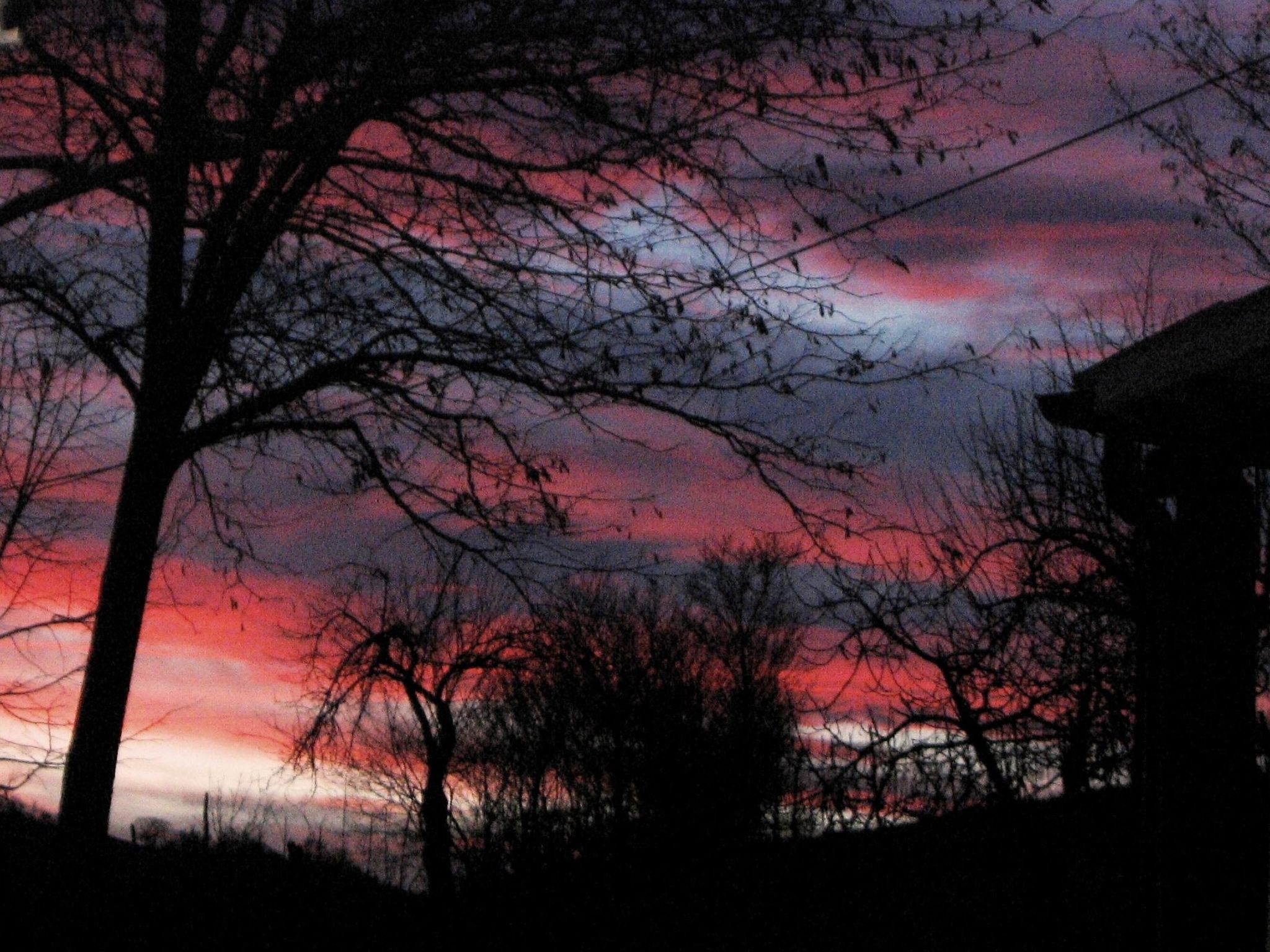 Flacher Flieder-Binnen