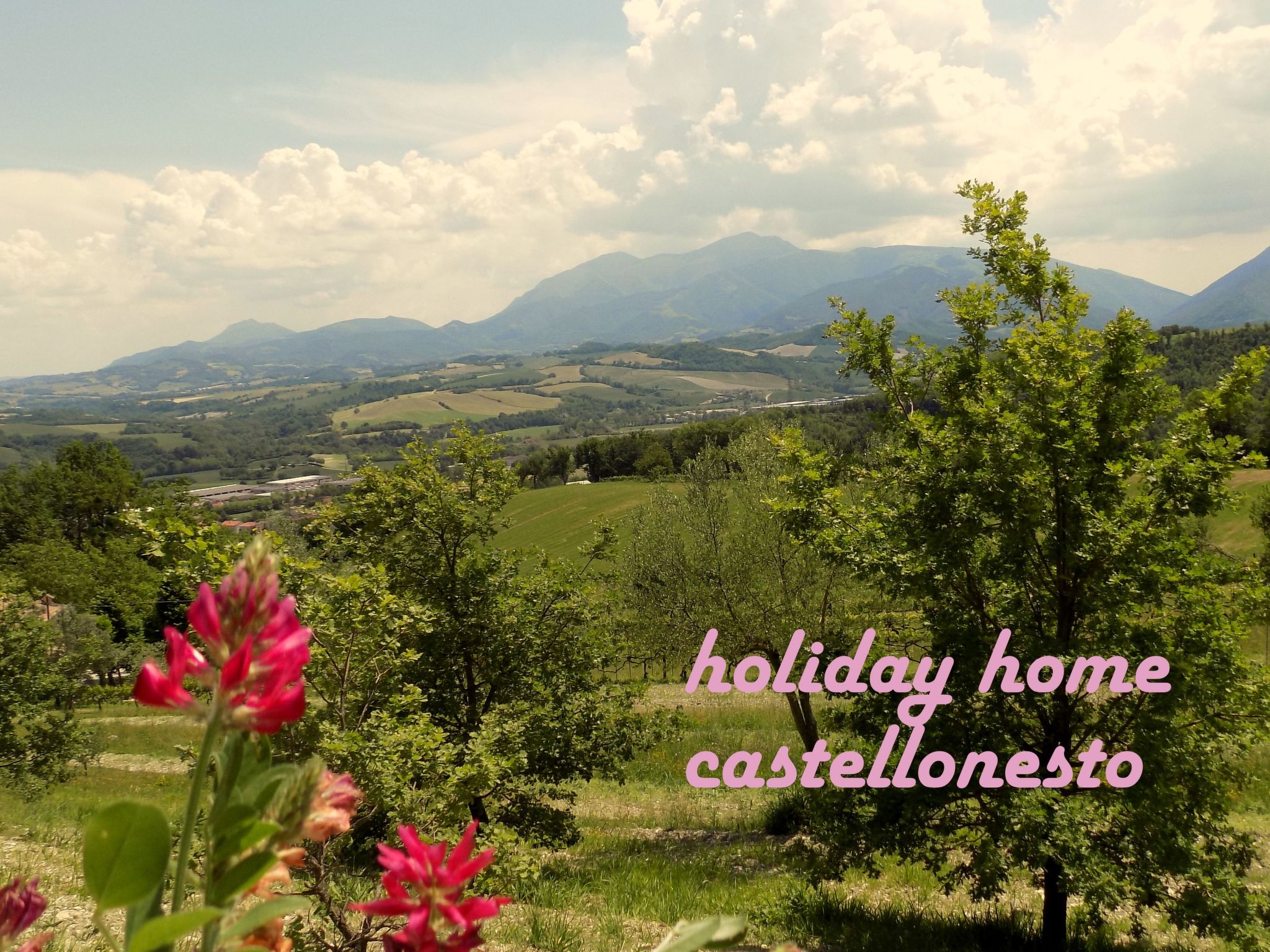 Flacher Flieder-Binnen